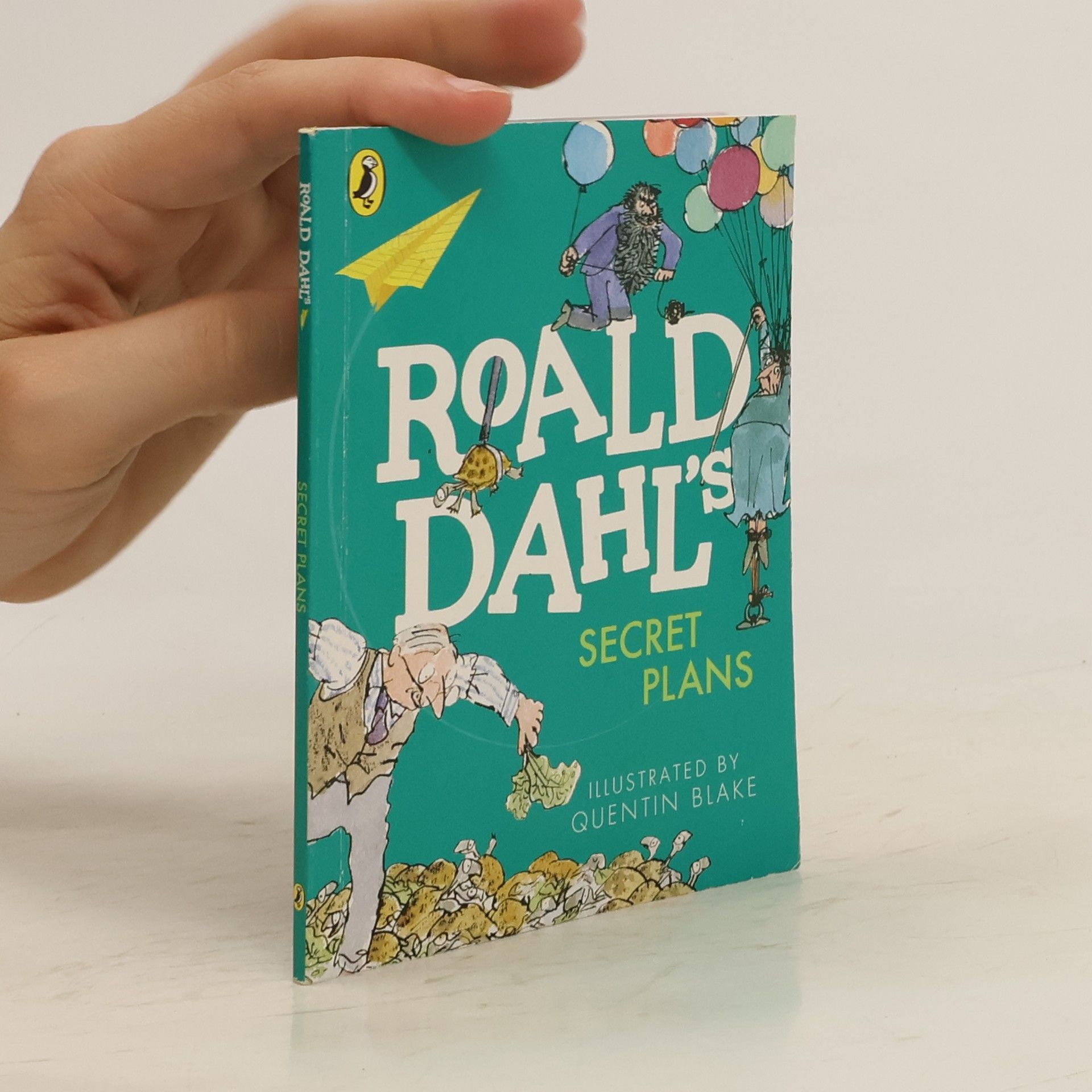 Roald Dahl Secret Plans