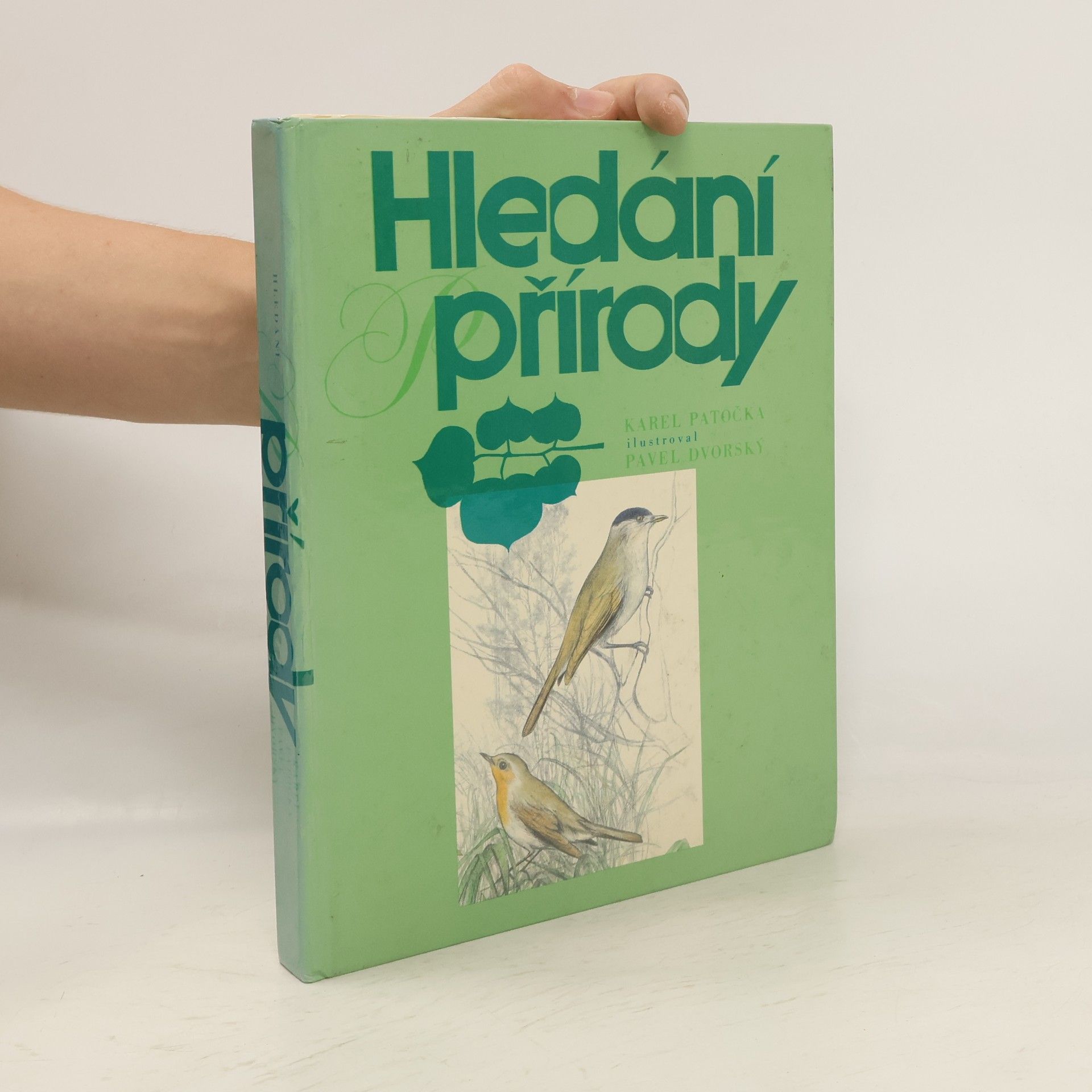 Karel Patočka Hledání přírody