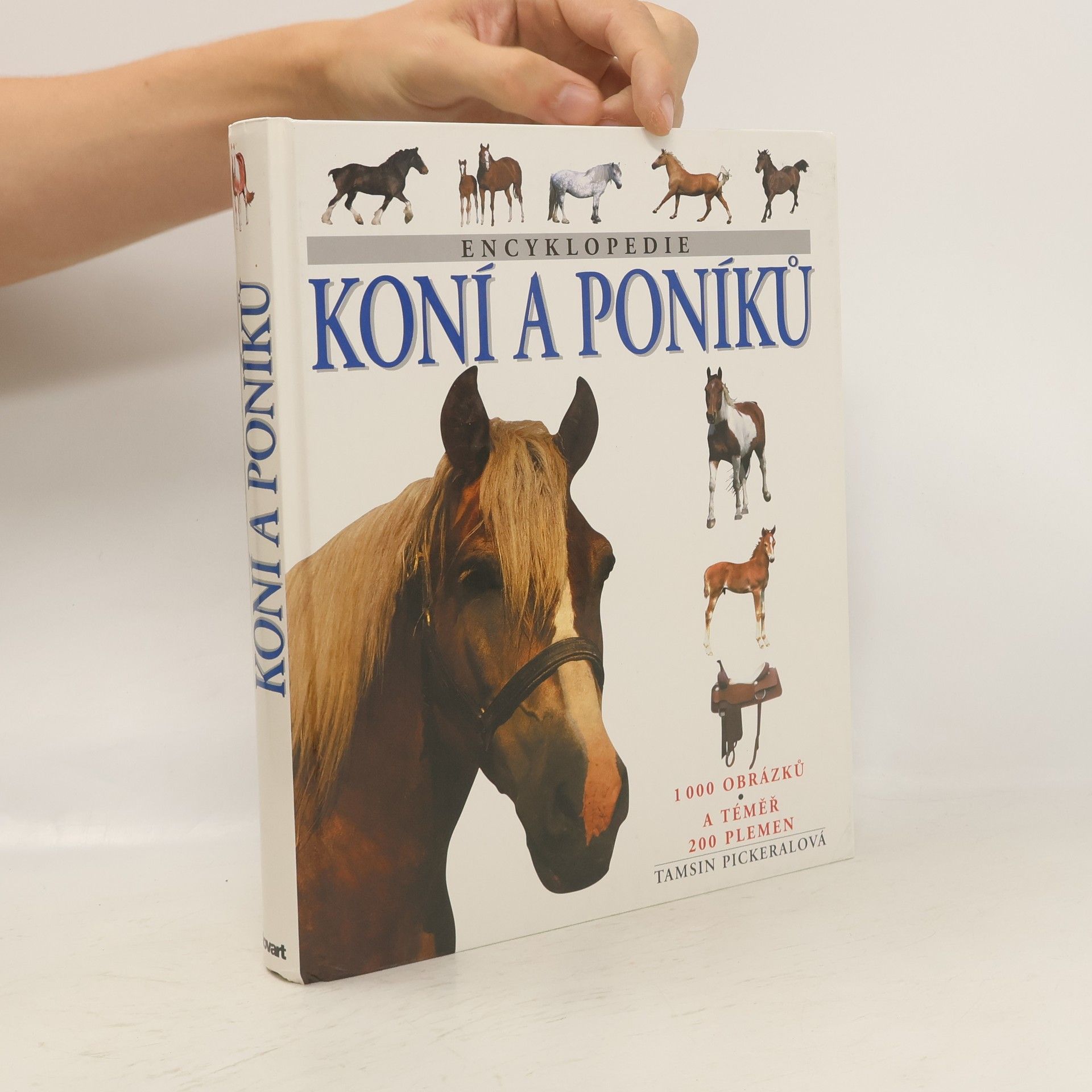 Tamsin Pickeral Encyklopedie koní a poníků