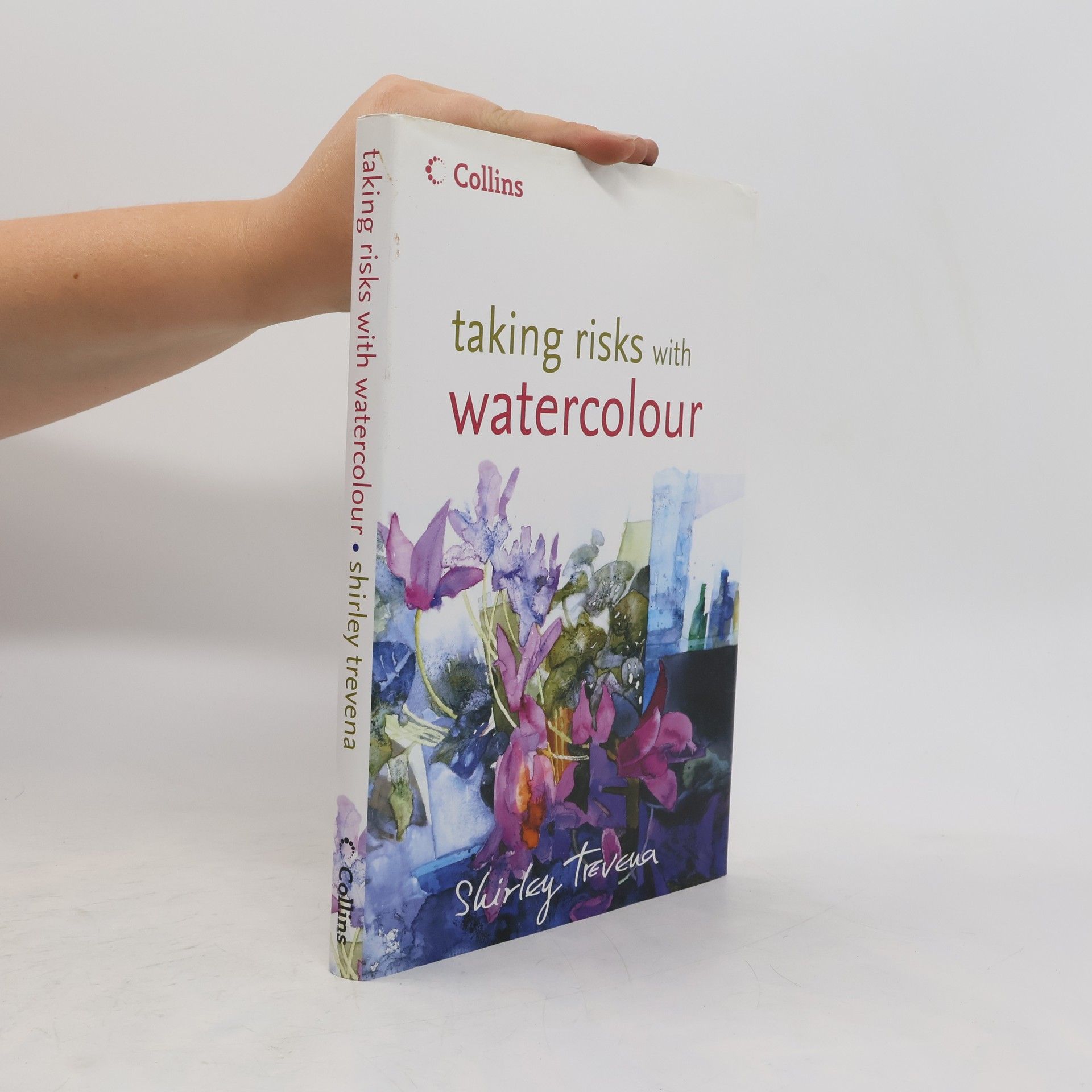 Shirley Trevena Taking Risks with Watercolour