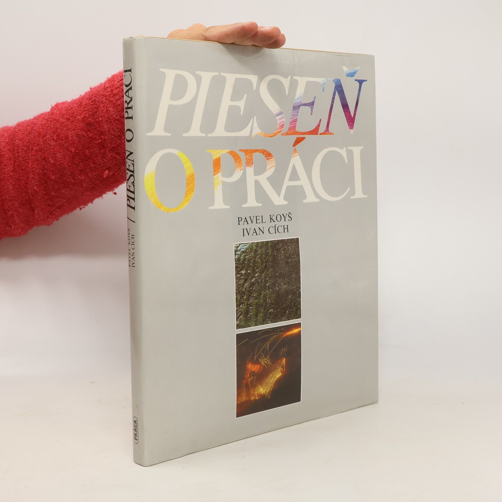 kolektiv Pieseň o práci