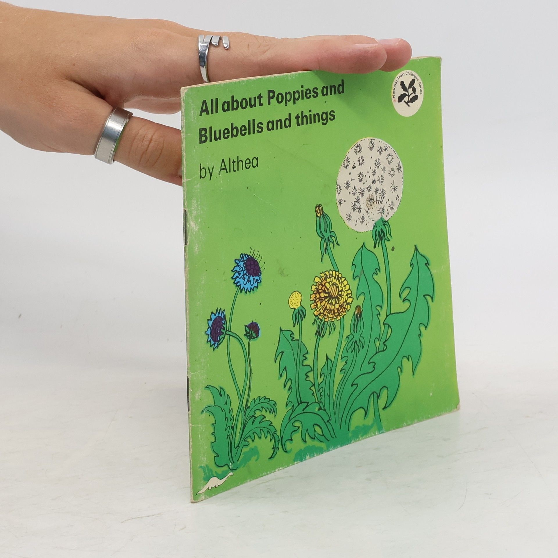Hilary Abrahams All About Poppies and Bluebells and Things