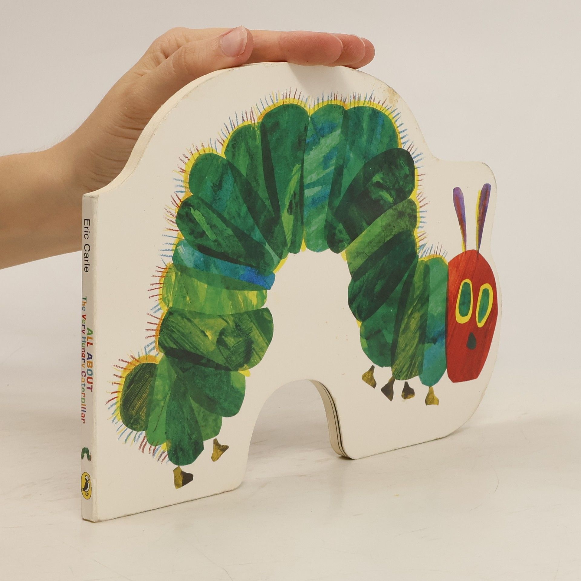 Eric Carle All About The Very Hungry Caterpillar