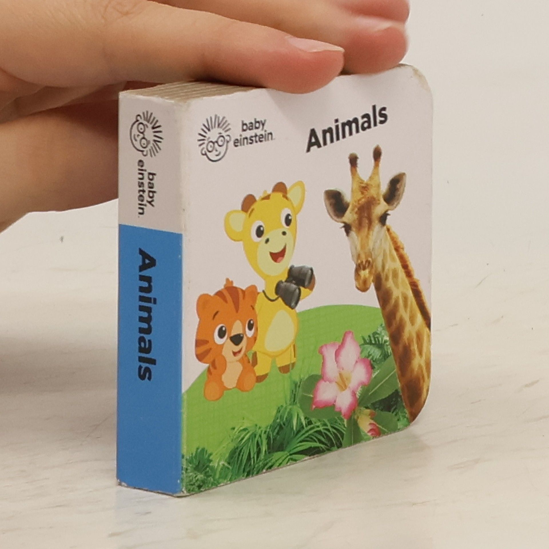Collectif d'auteurs Animals