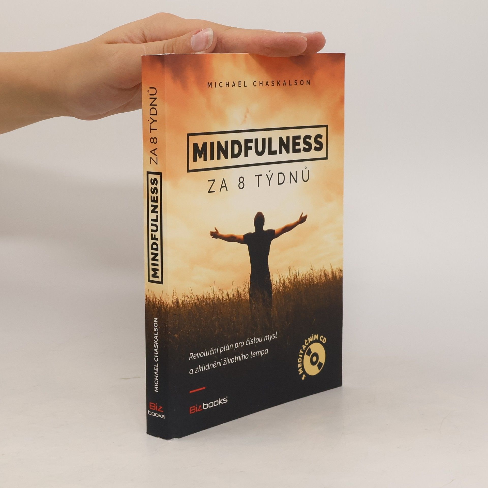 Michael Chaskalson Mindfulness za 8 týdnů. Revoluční plán pro čistou mysl a zklidnění životního tempa