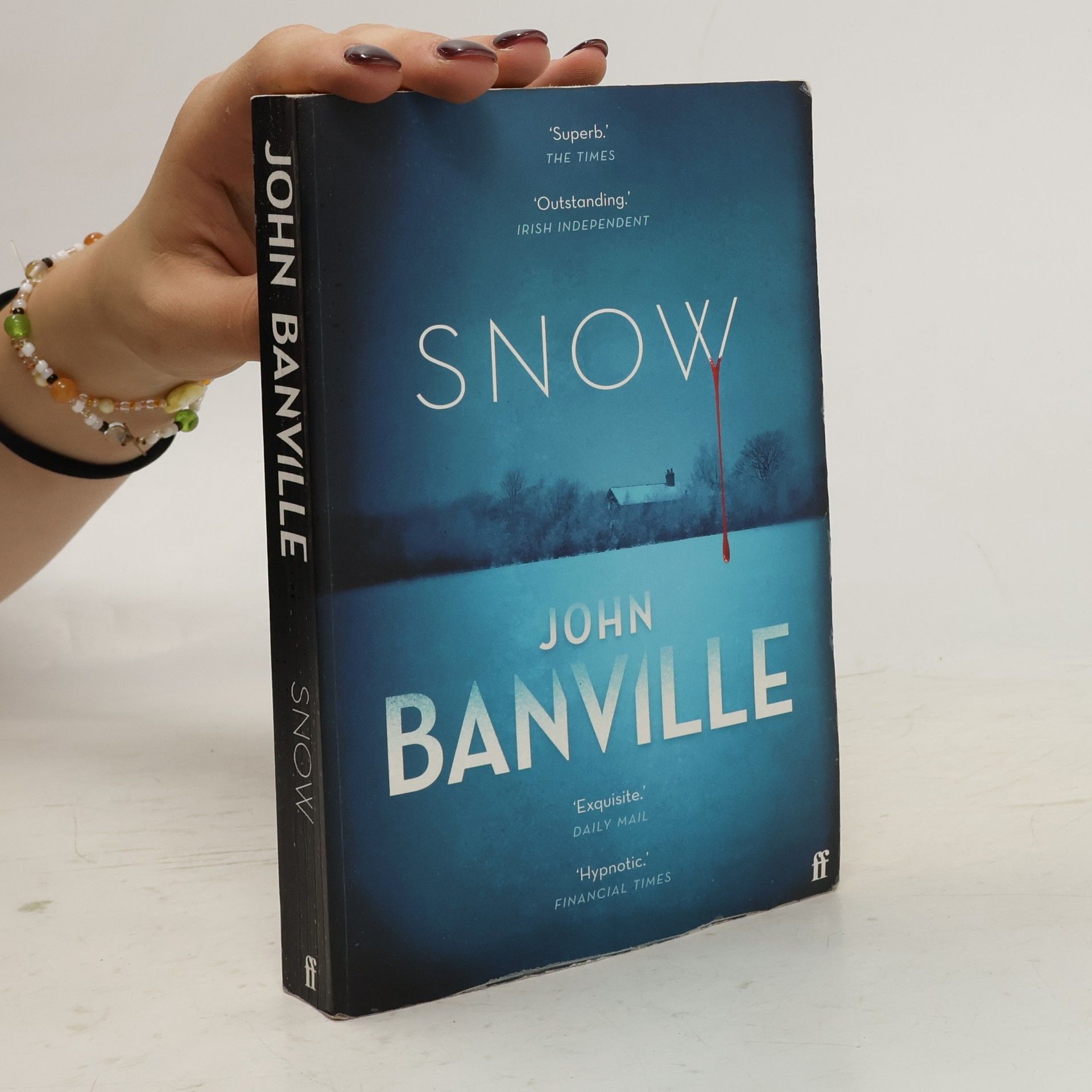 John Banville Snow