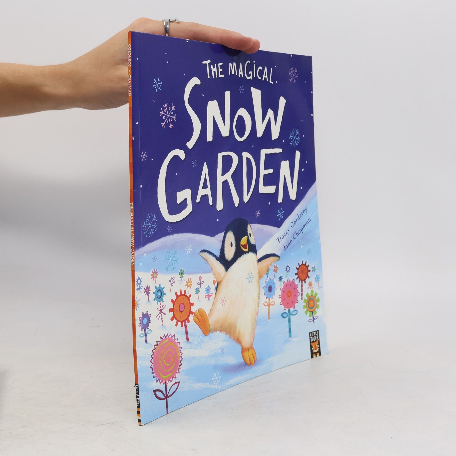 Tracey Corderoy The Magical Snow Garden