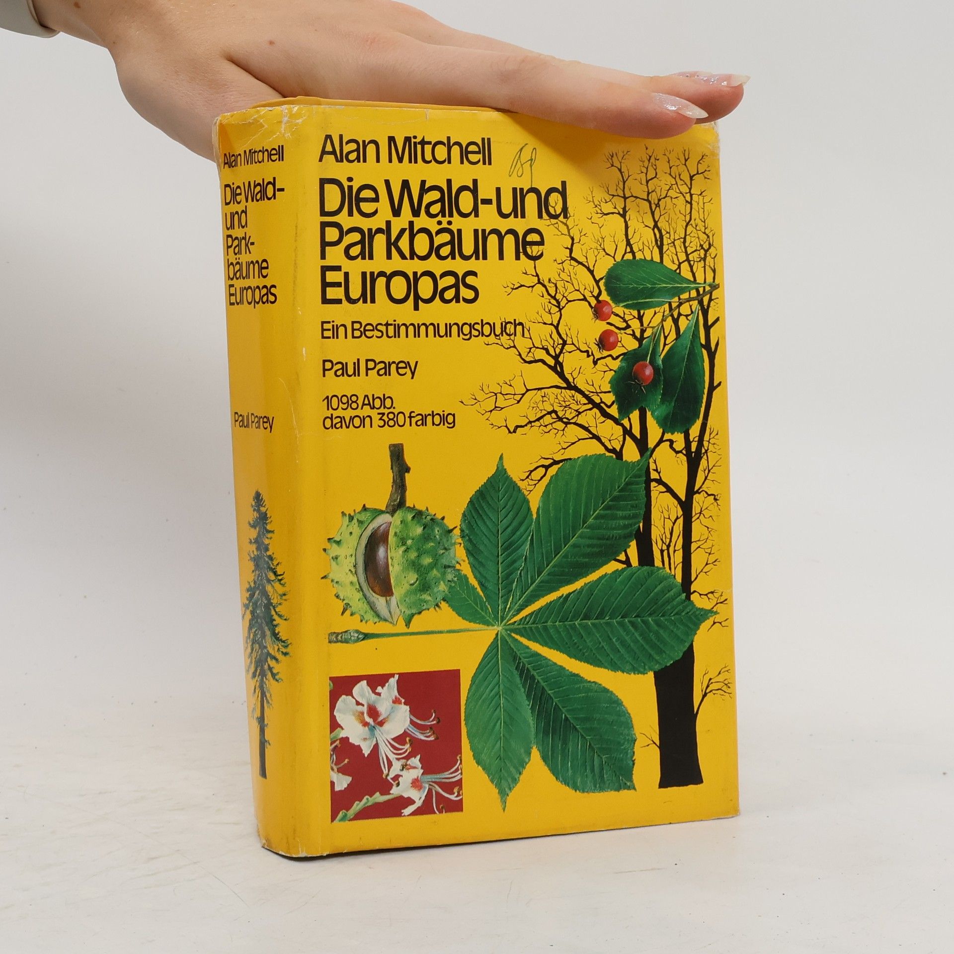 Alan F. Mitchell Die Wald- und Parkbäume Europas
