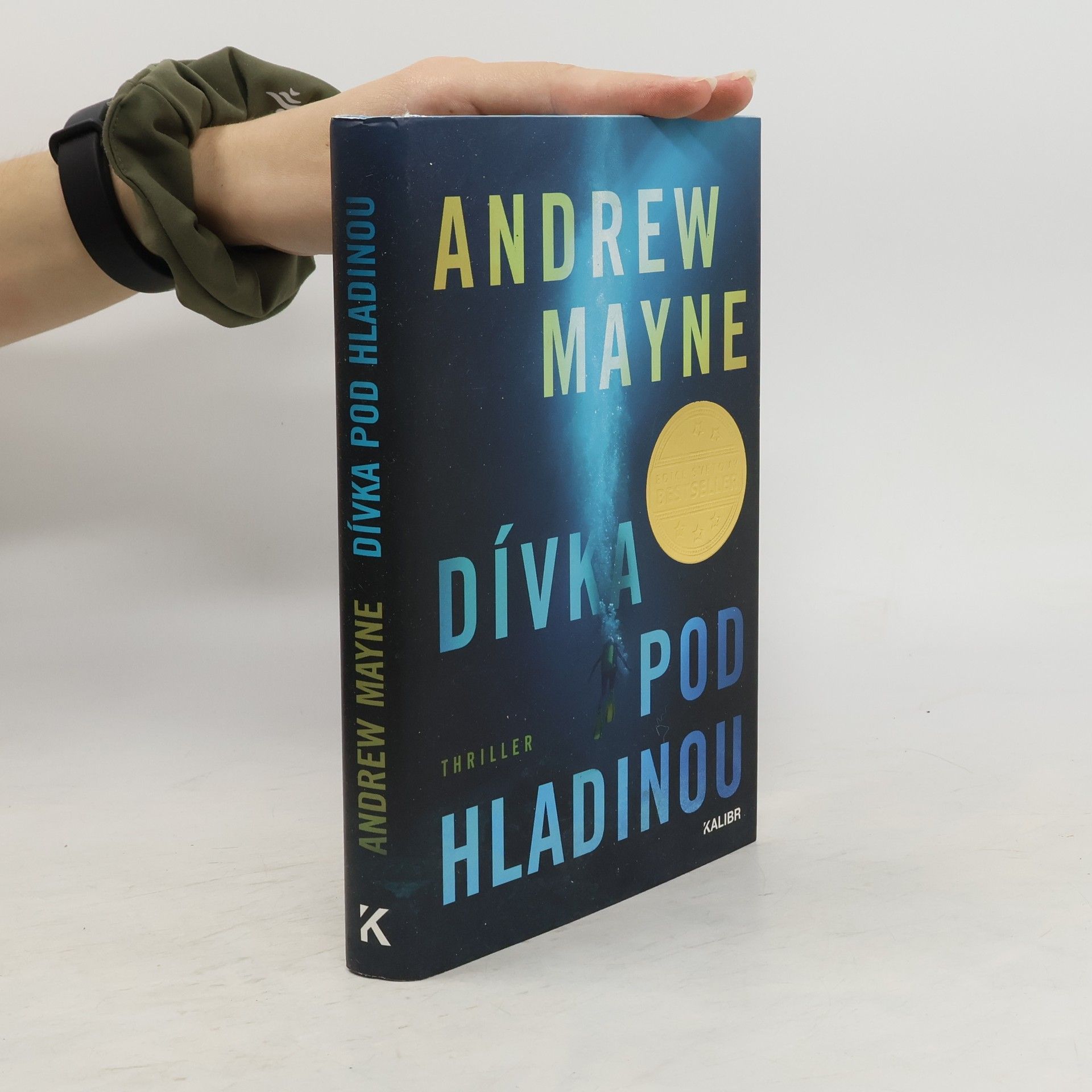 Andrew Mayne Dívka pod hladinou
