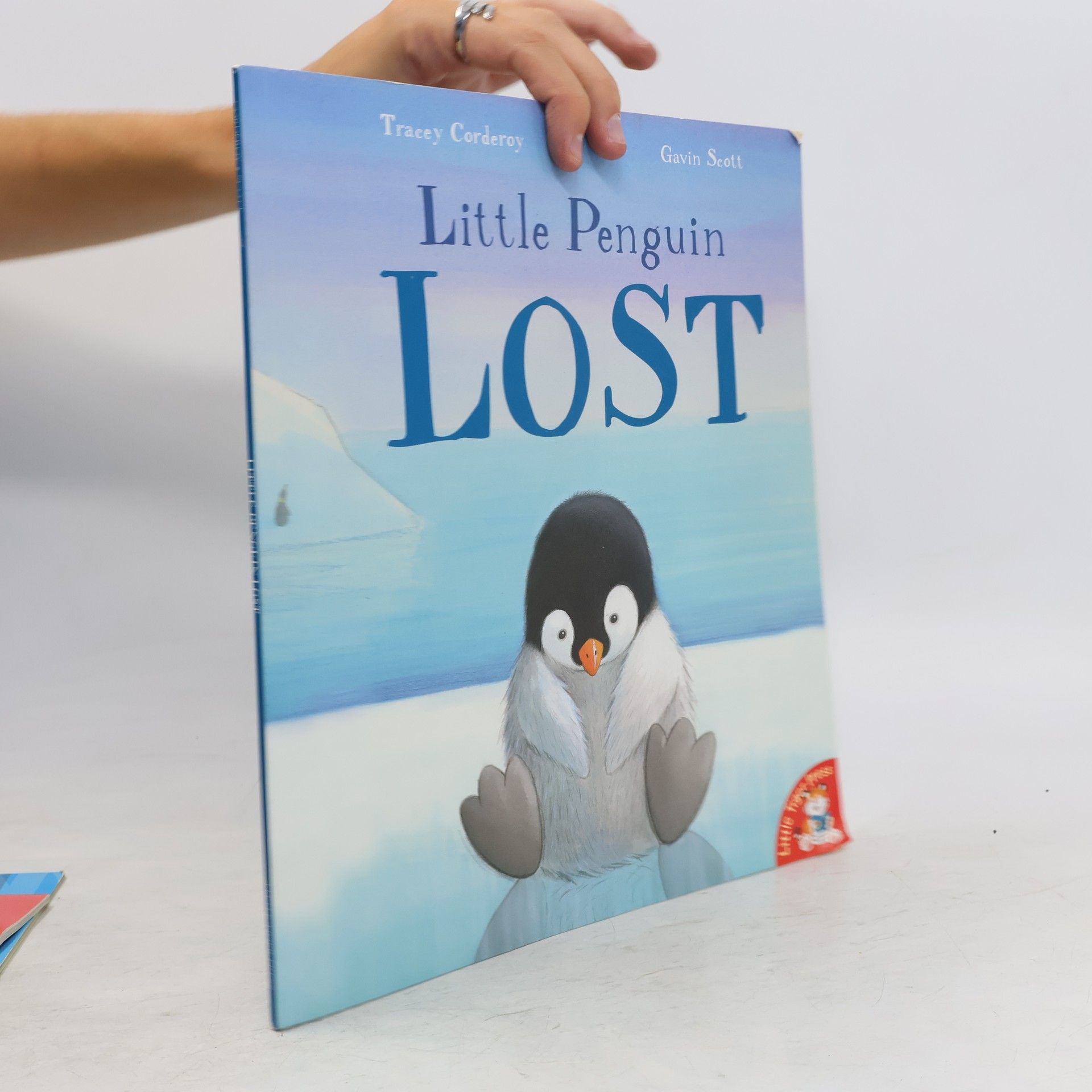 Tracey Corderoy Little Penguin Lost