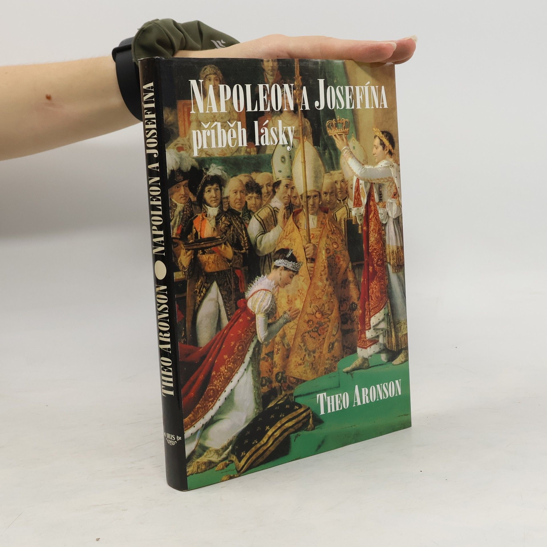 Theo Aronson Napoleon a Josefína. Příběh lásky