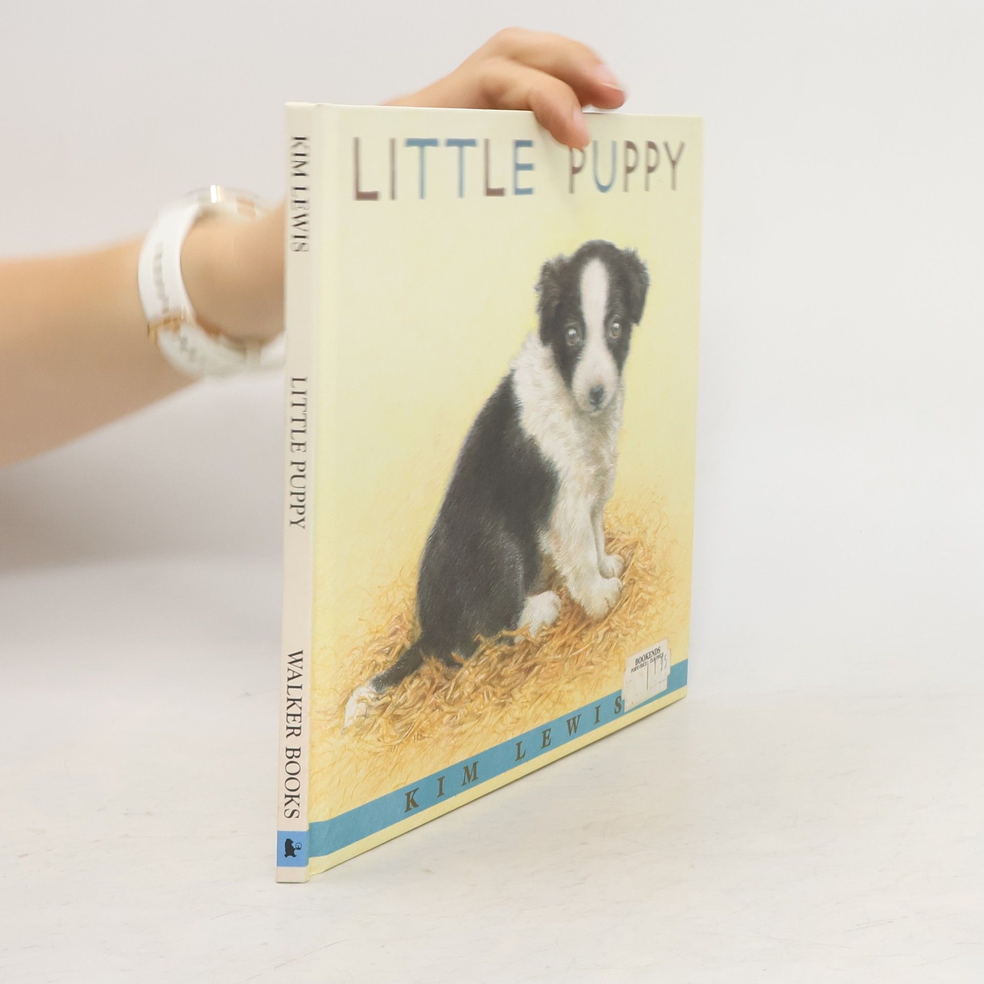 Kim Lewis Little Puppy