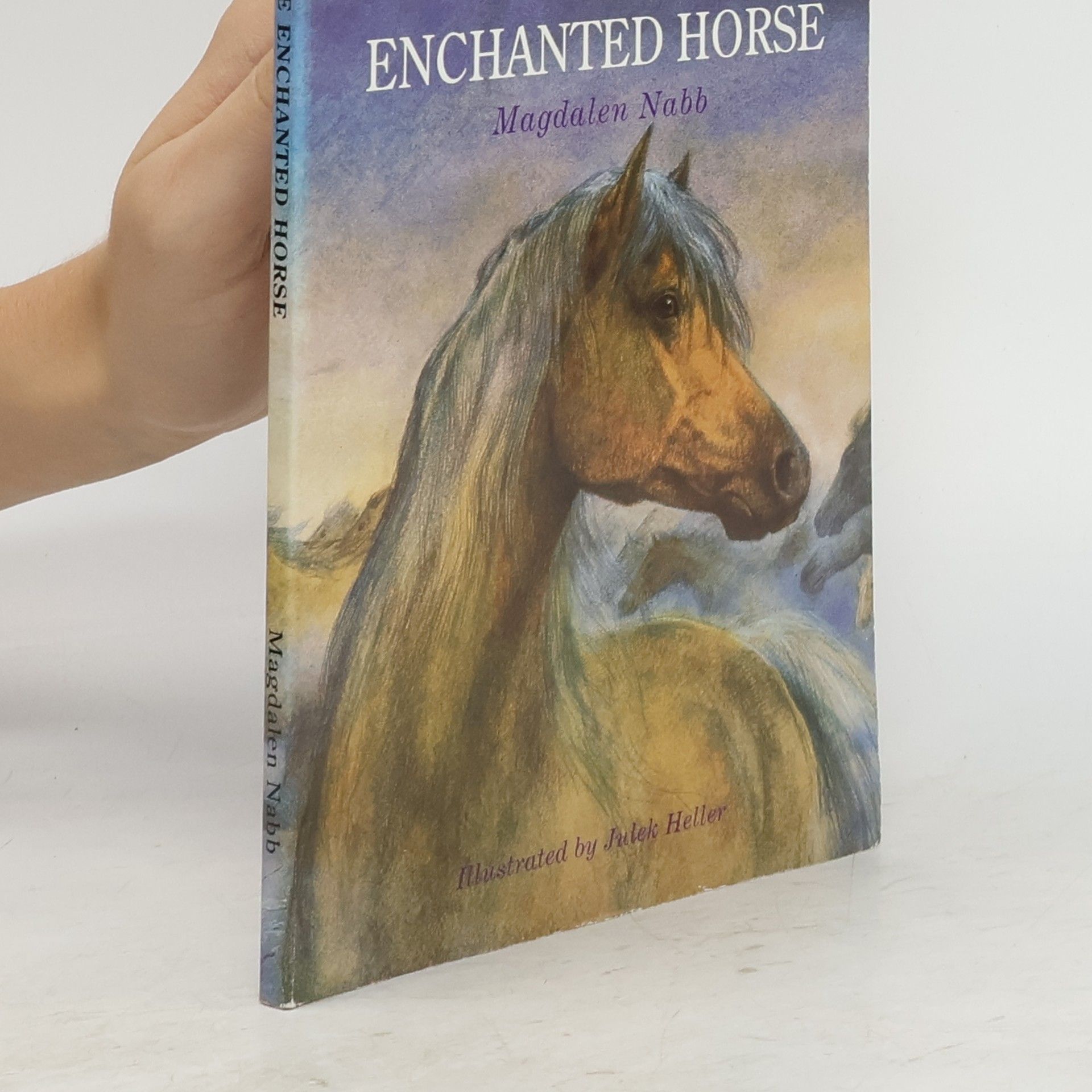 Magdalen Nabb The Enchanted Horse