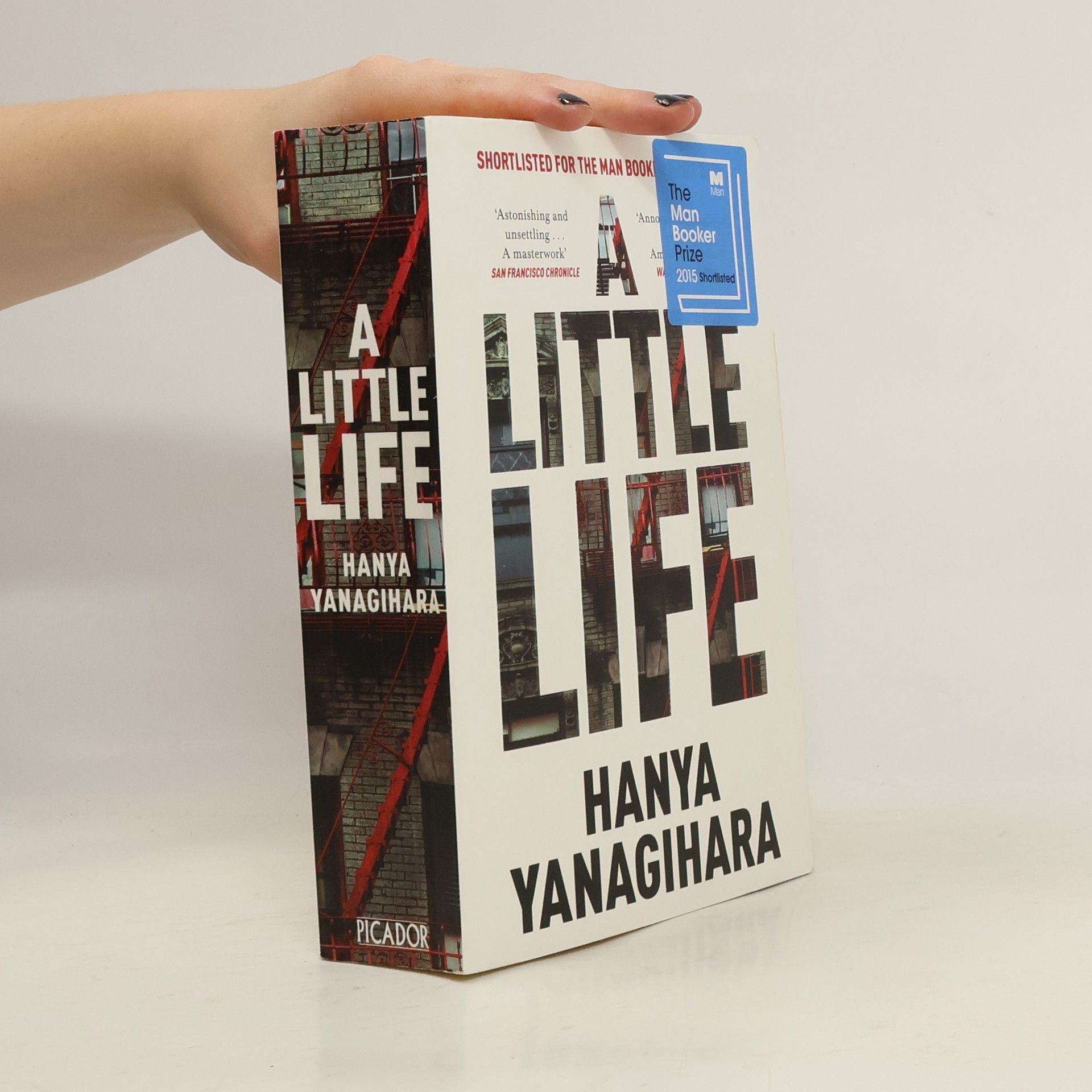 Hanya Yanagihara A Little Life