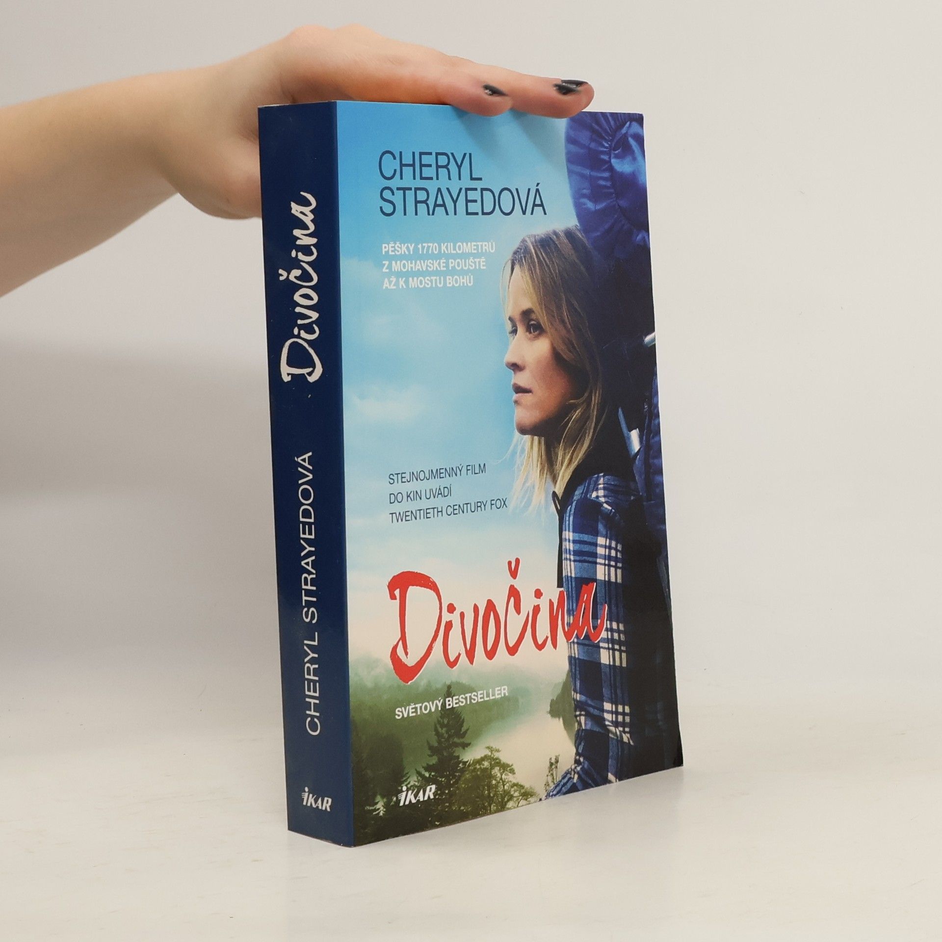 Cheryl Strayed Divočina. Pěšky 1770 kilometrů z Mohavské pouště až k mostu bohů