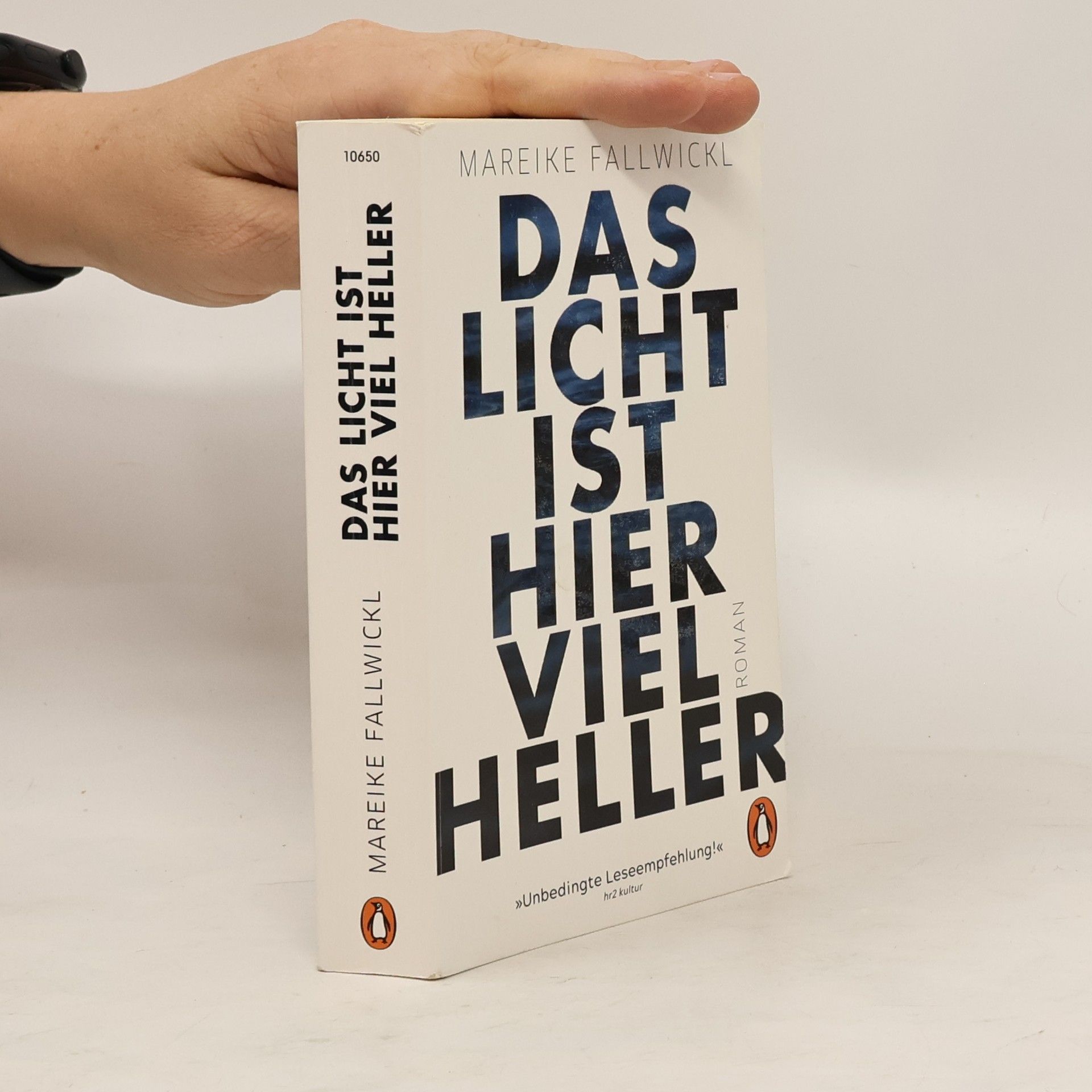 Mareike Fallwickl Das licht ist hier viel heller