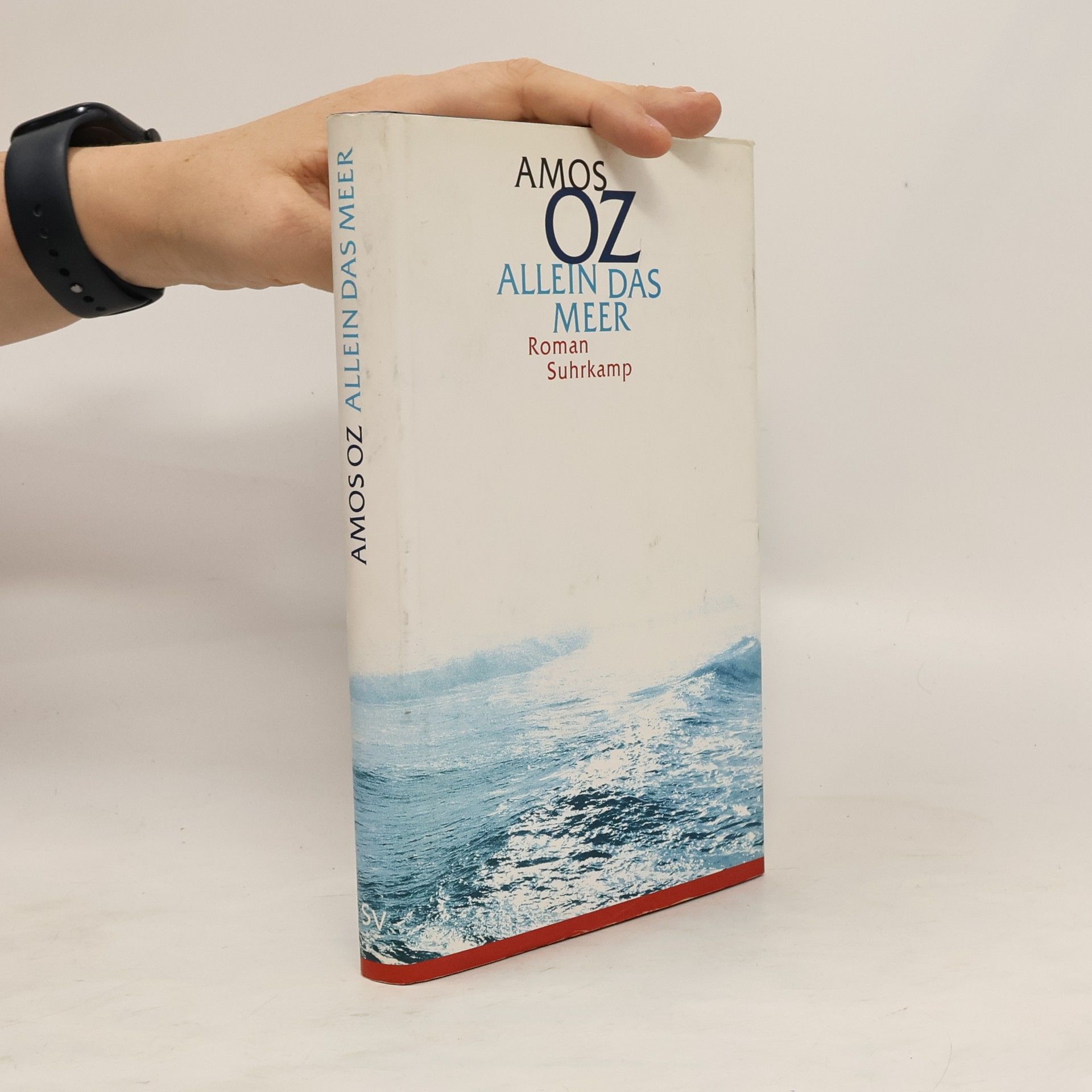 Amos Oz Allein das Meer