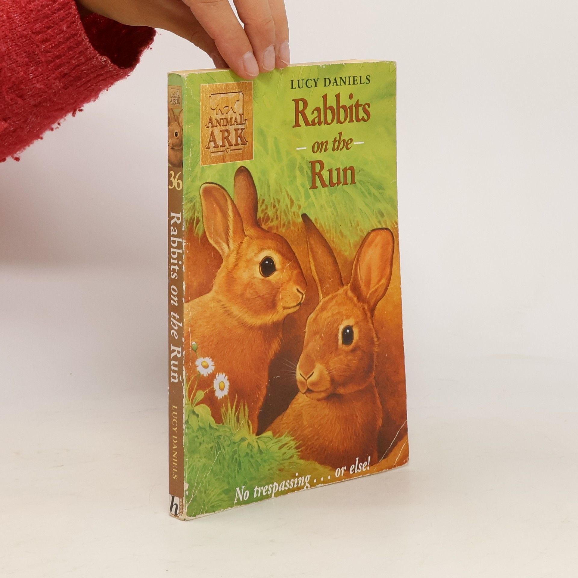 Lucy Daniels Rabbits on the Run