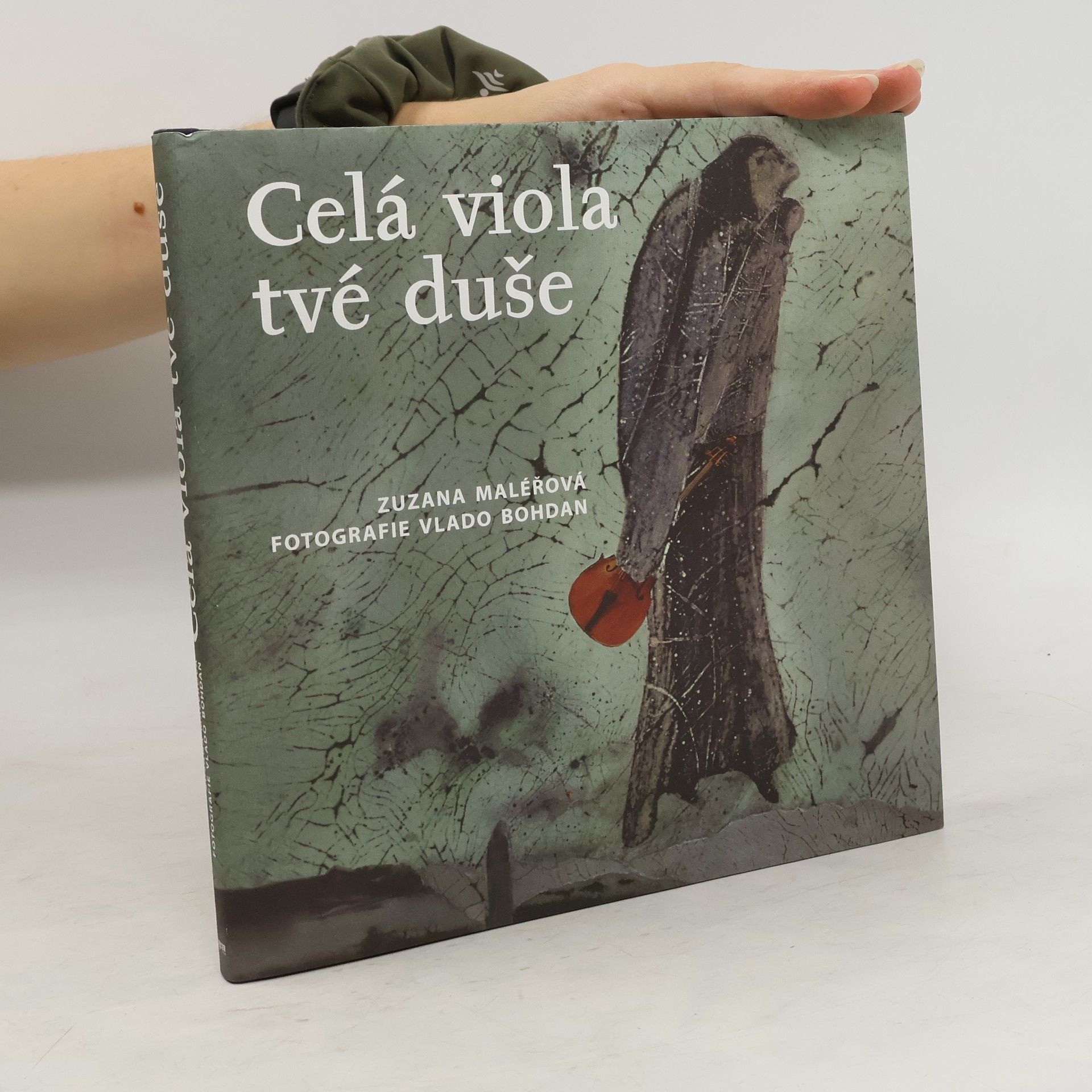 Maléřová Zuzana Celá viola tvé duše