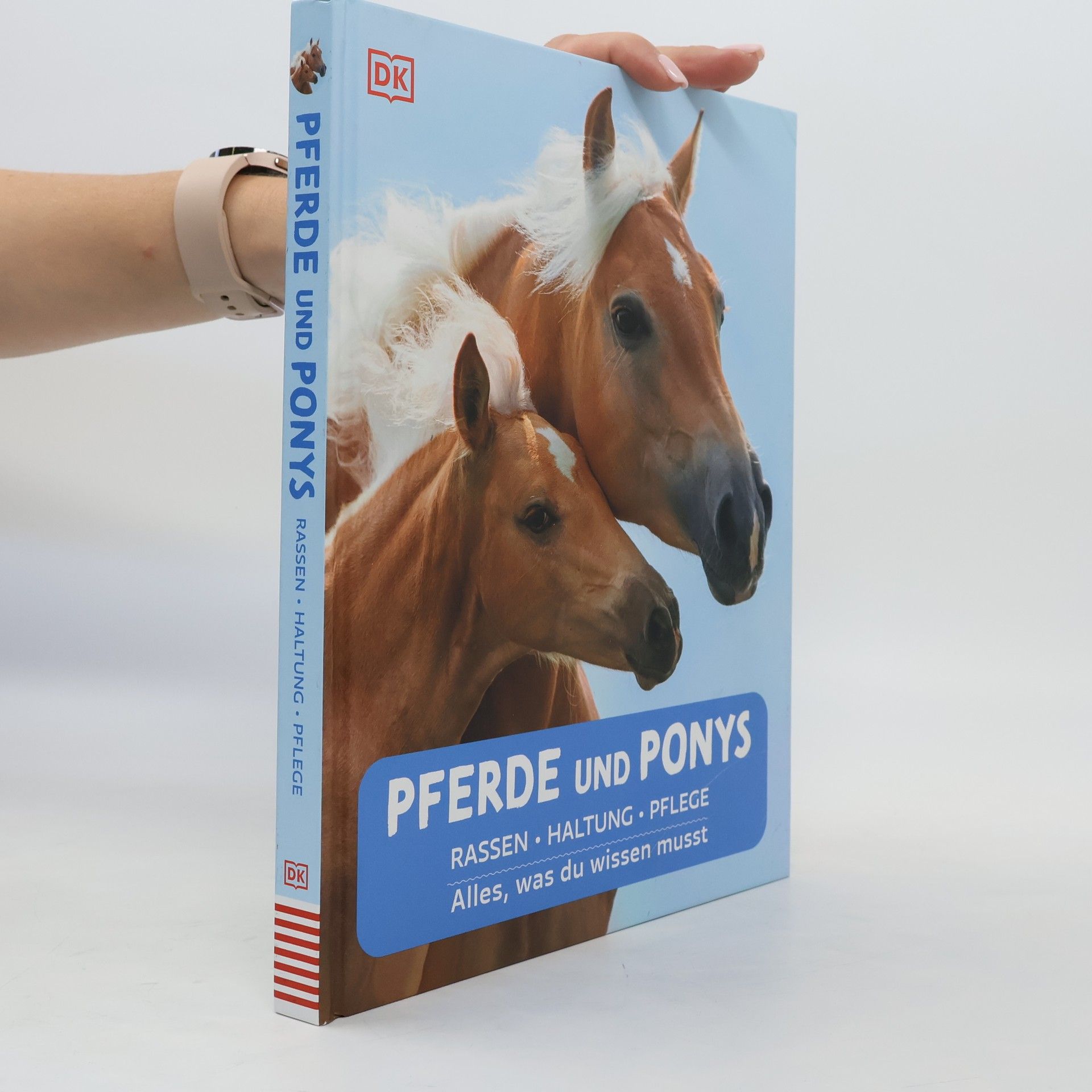 Bettina Borst Pferde und Ponys