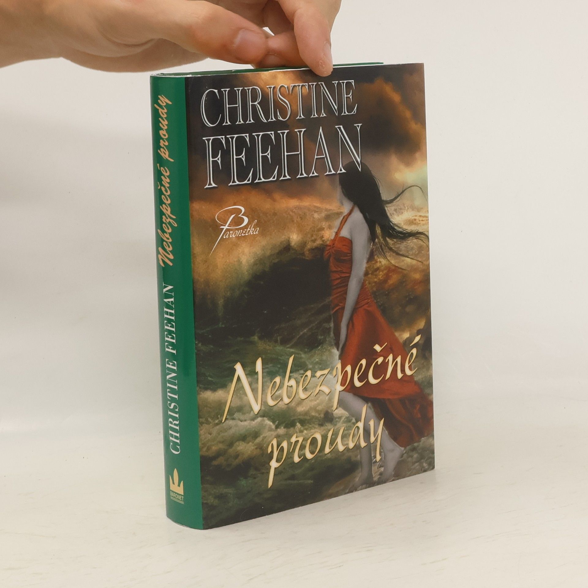 Christine Feehan Nebezpečné proudy