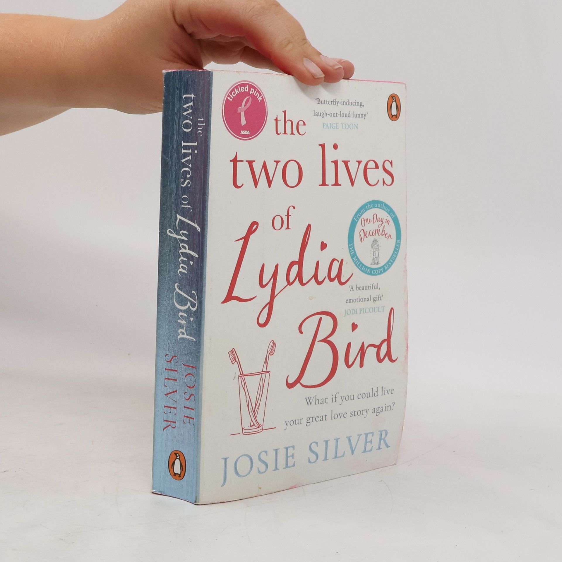 Josie Silver The two lives of Lydia Bird