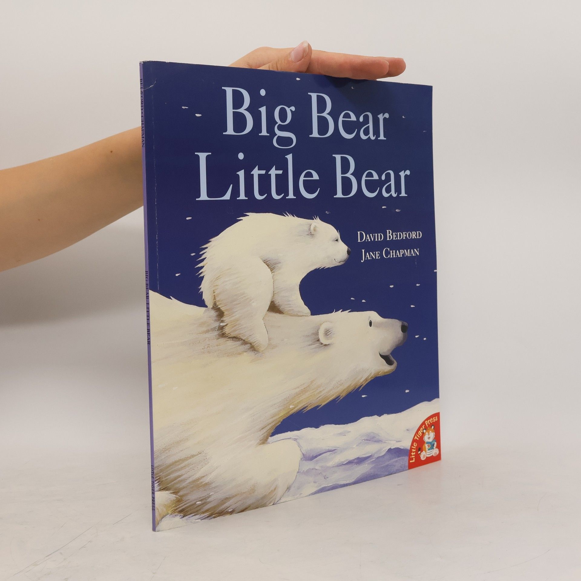 David Bedford Big Bear Little Bear