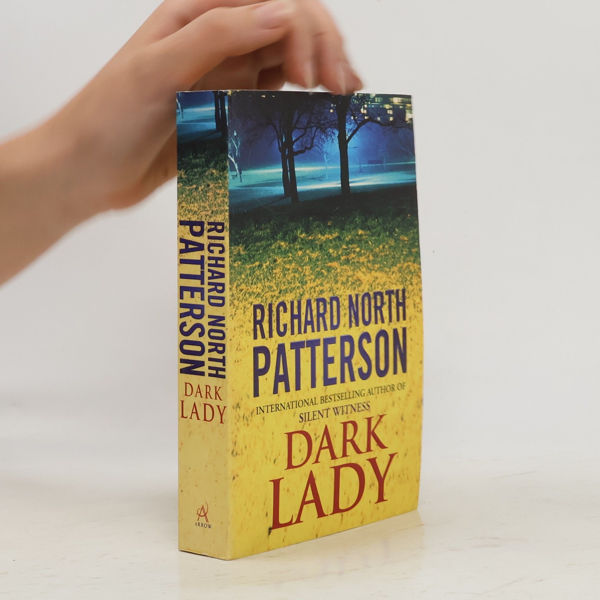 Richard North Patterson Dark Lady