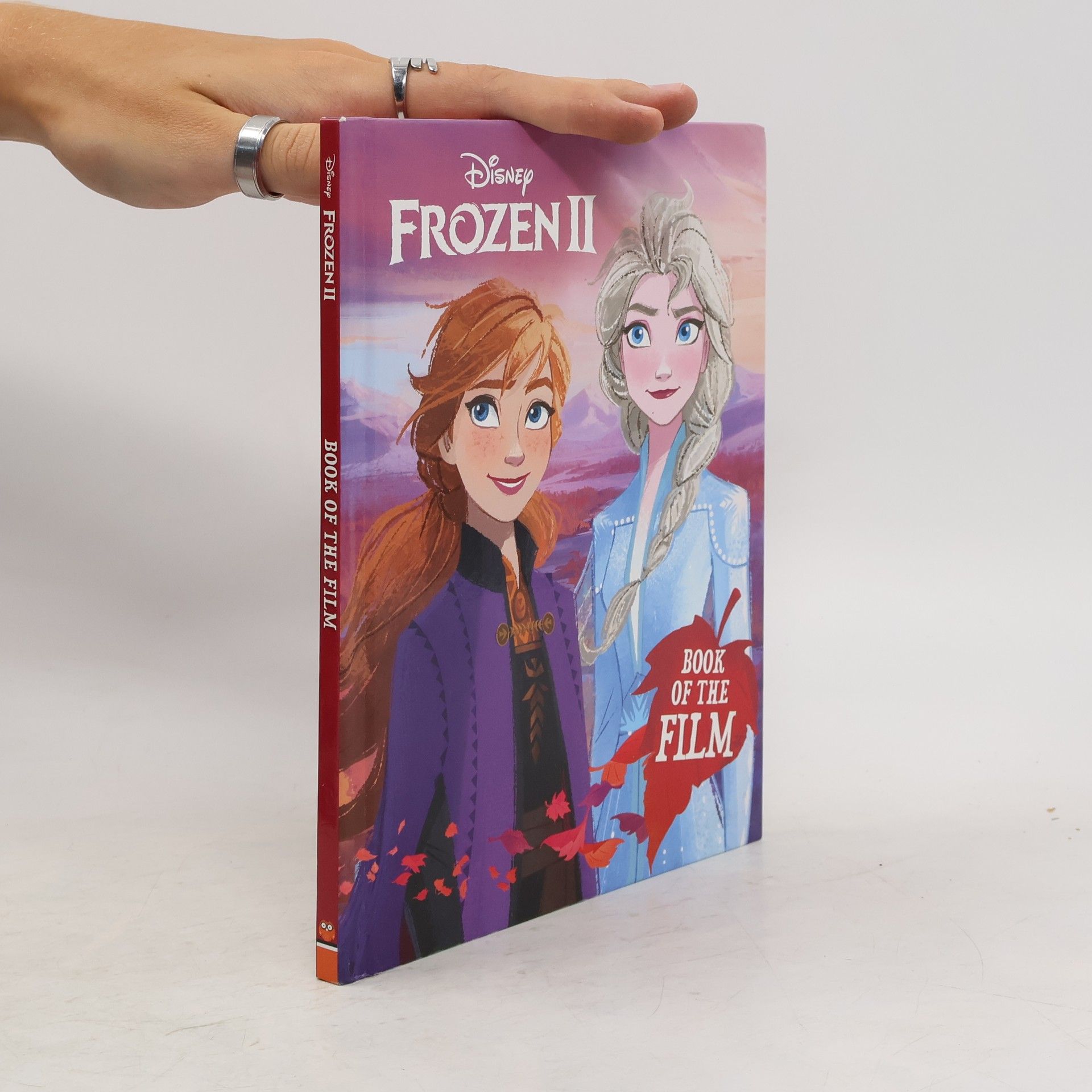 Autorenkollektiv Frozen II