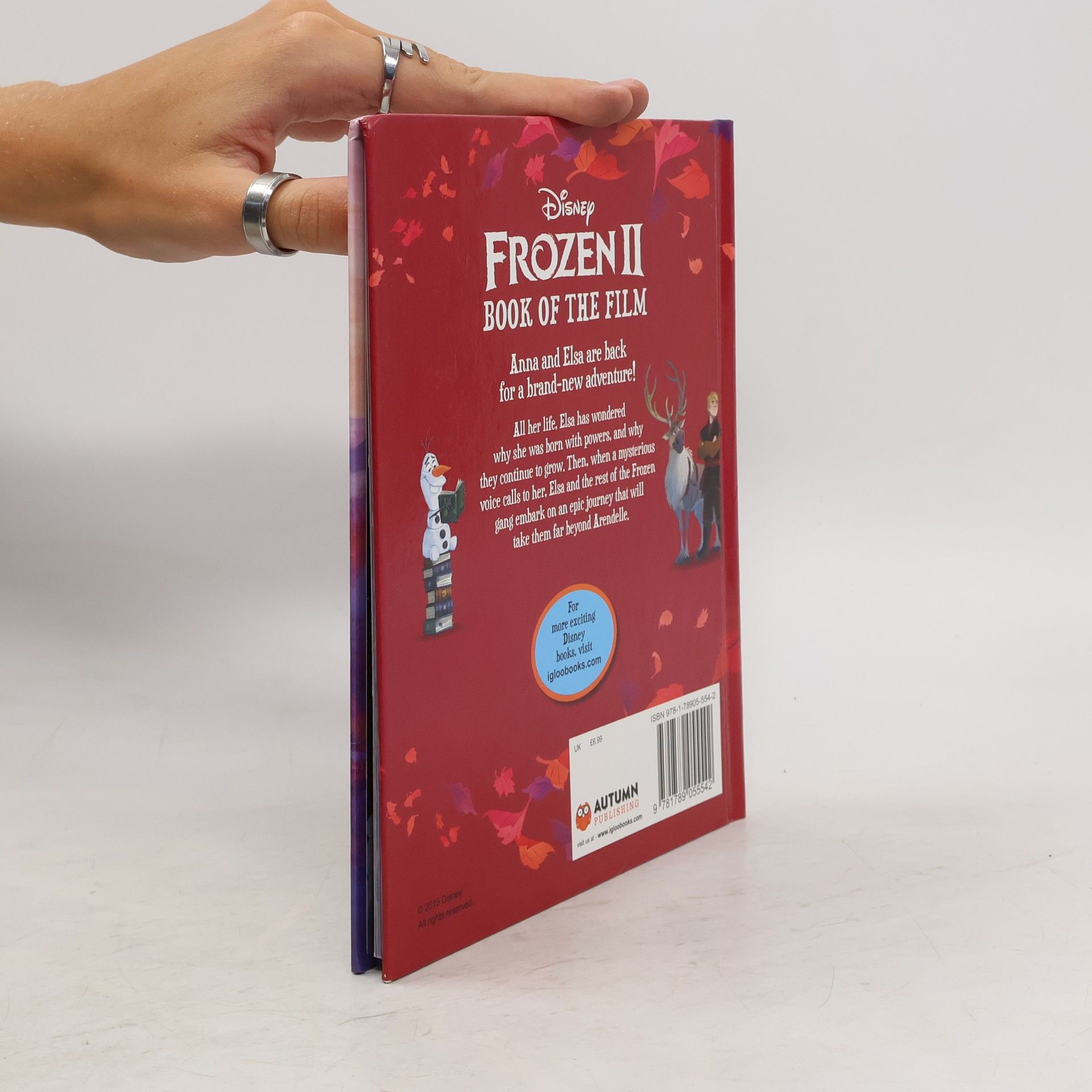 Autorenkollektiv Frozen II