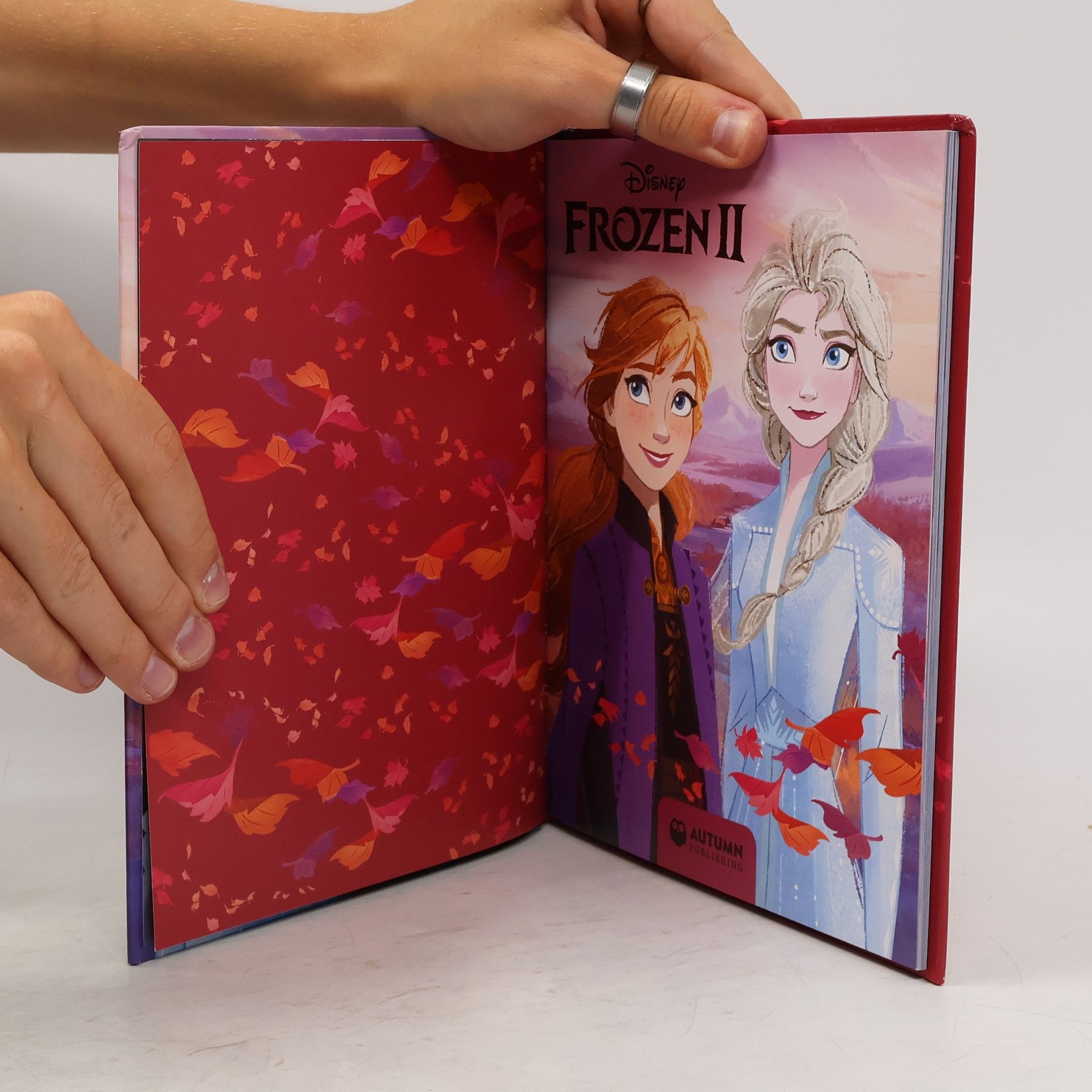 Autorenkollektiv Frozen II
