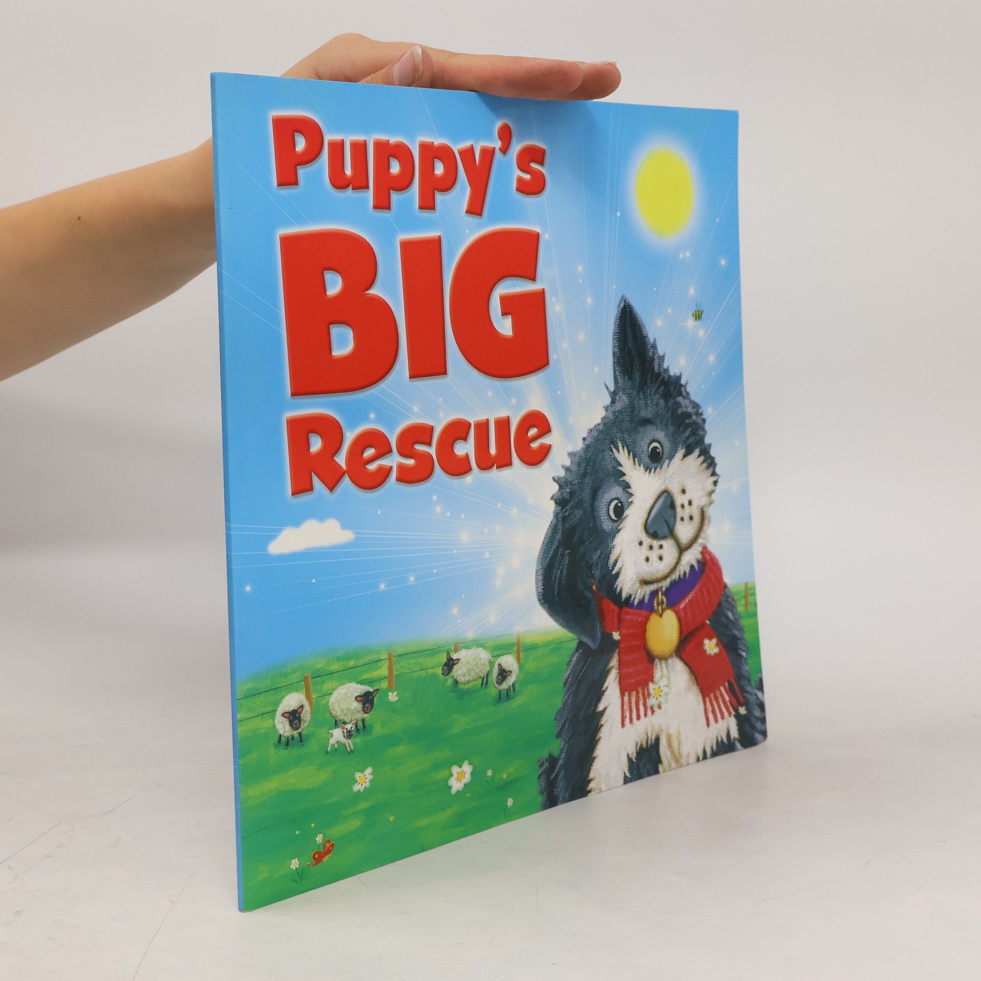 Rachel Elliot Puppy's Big Rescue