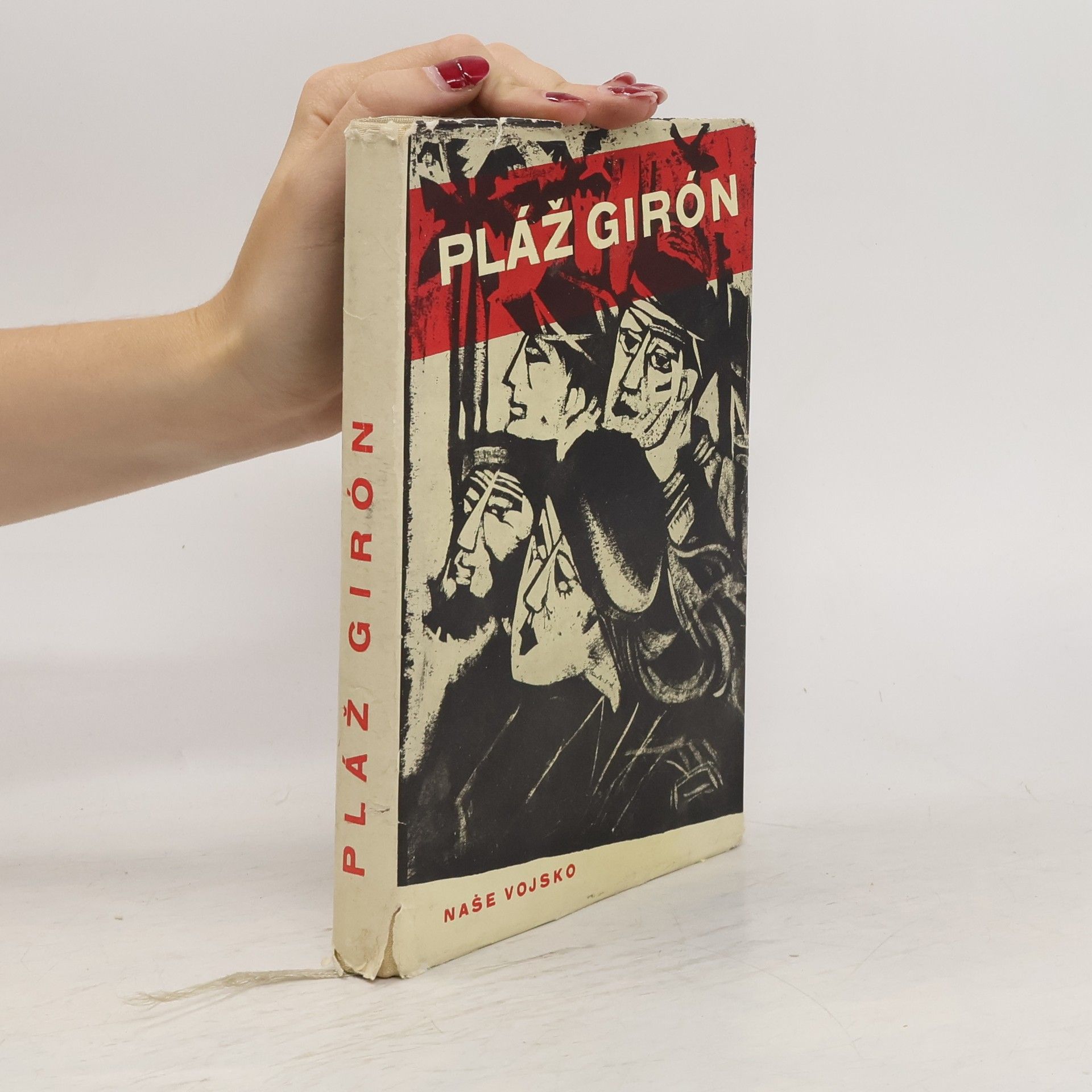 Collectif d'auteurs Pláž Girón