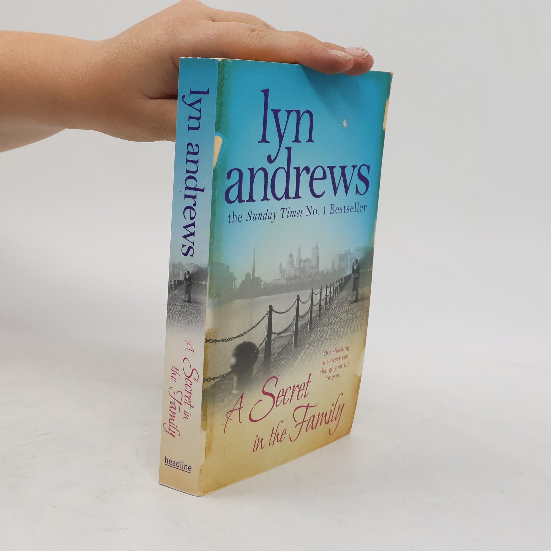 Lyn Andrews A Secret in the Family