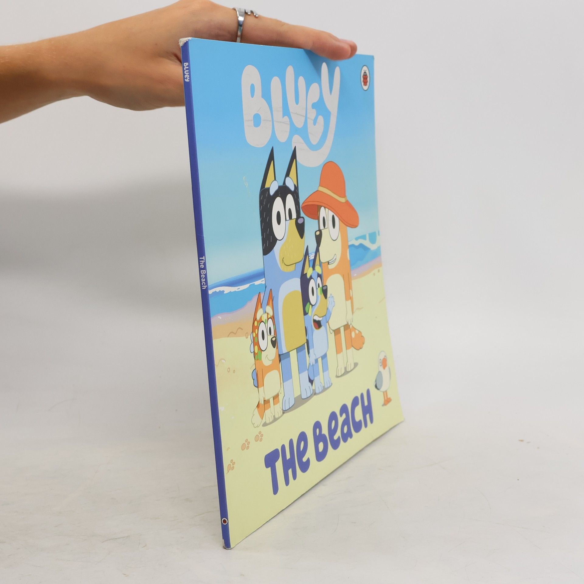 Bluey Bluey: The Beach