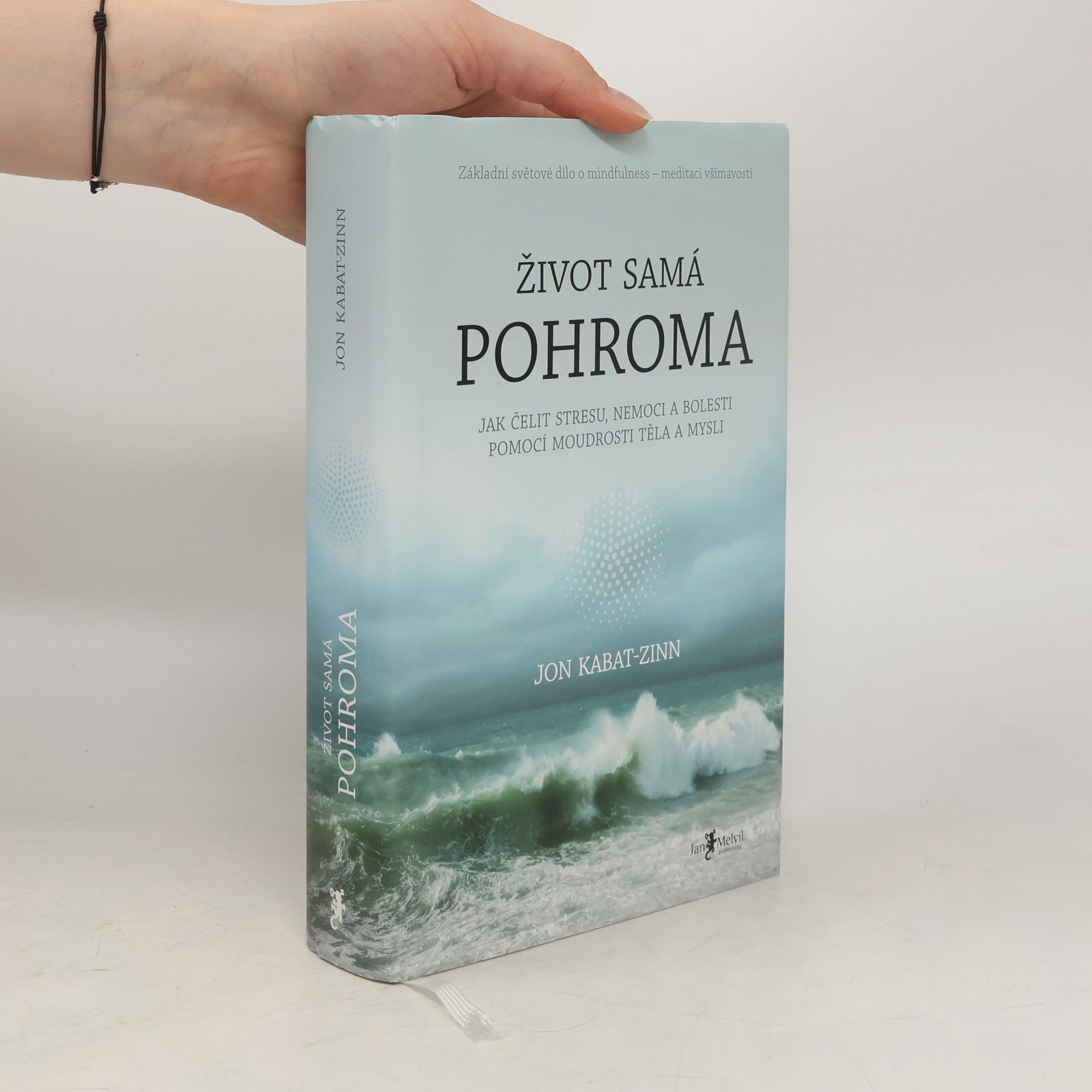 Libor Válek Život samá pohroma