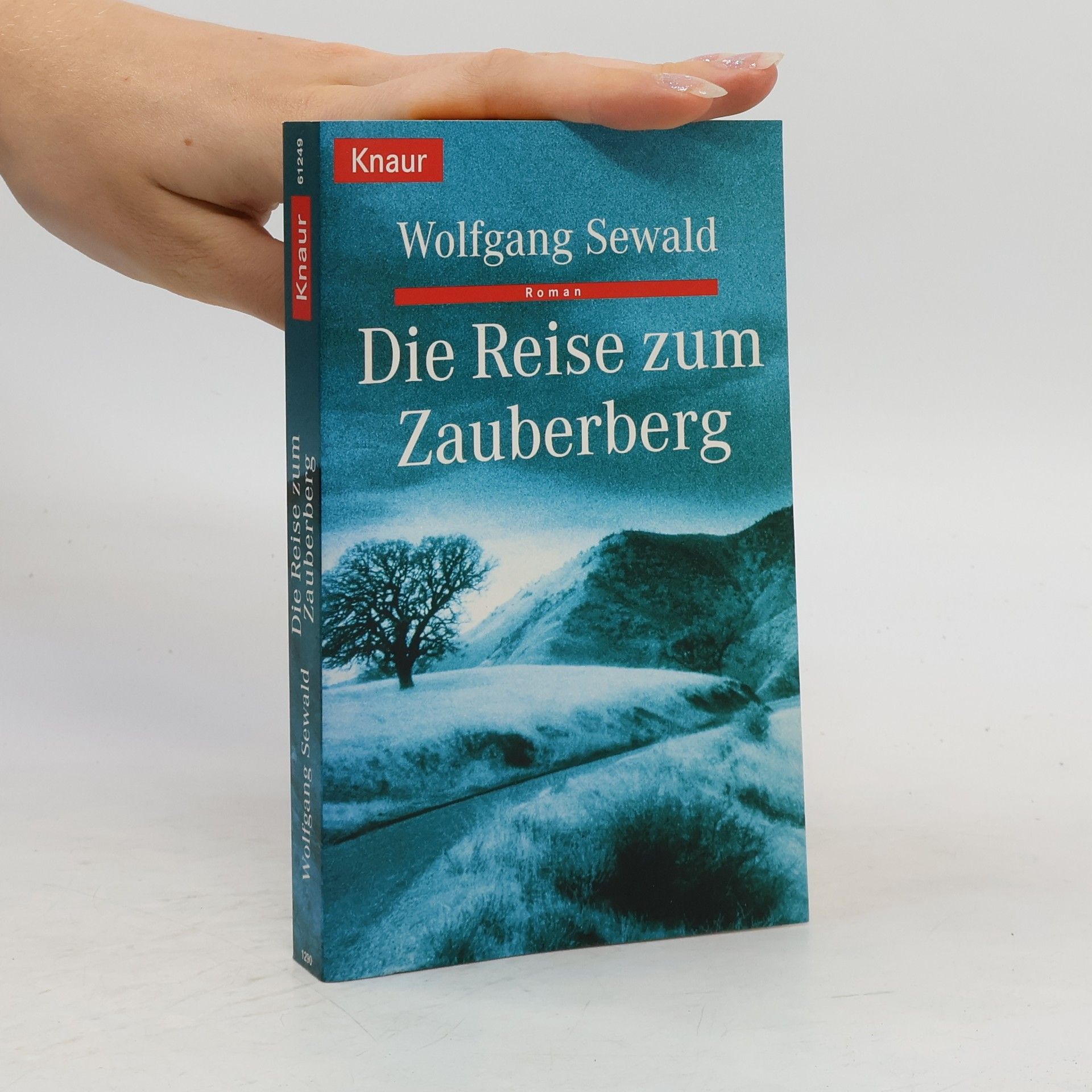 Wolfgang Sewald Die Reise zum Zauberberg
