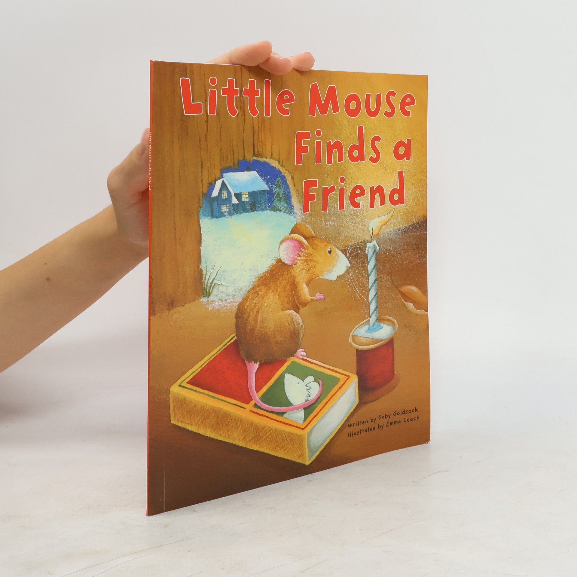 Collectif d'auteurs Little Mouse Finds A Friend
