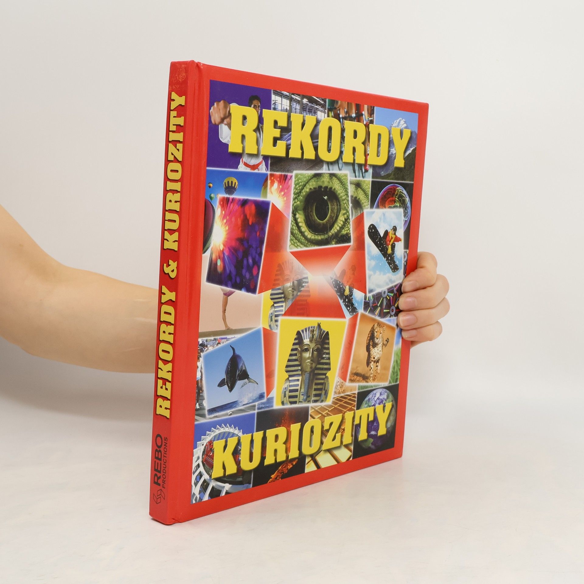 Ivana Rybecká Rekordy & kuriozity