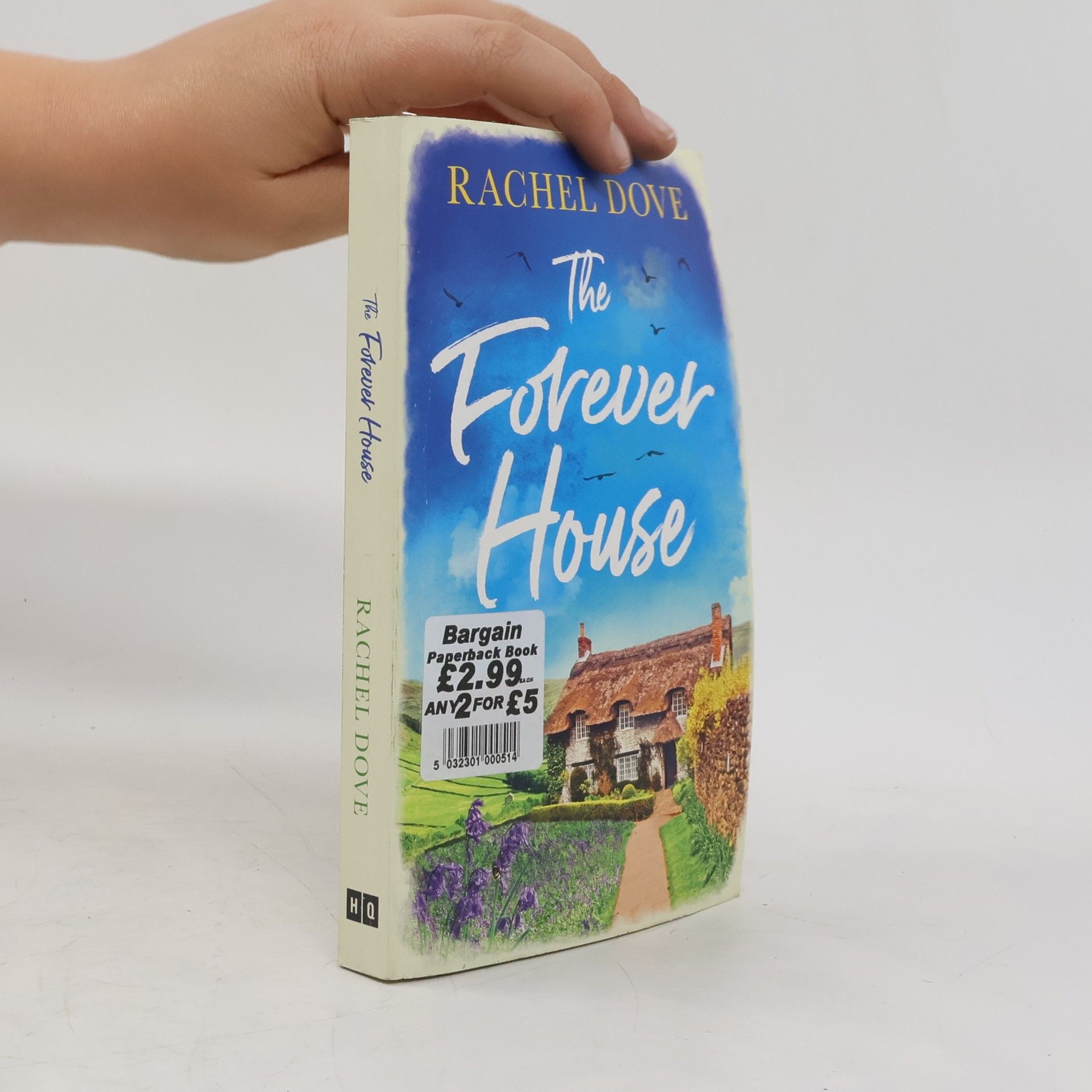 Rachel Dove The Forever House