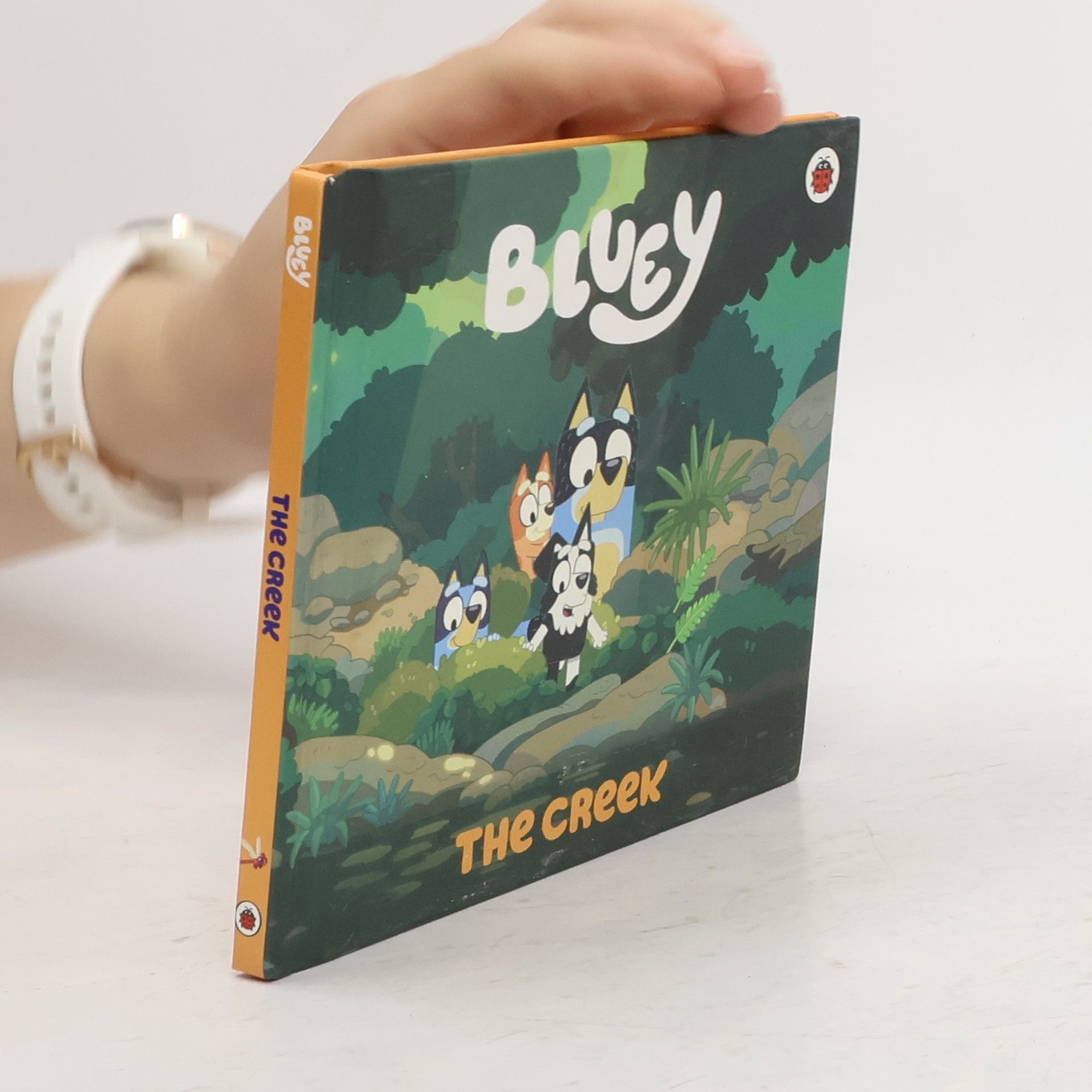 Collectif d'auteurs Bluey. The Creek