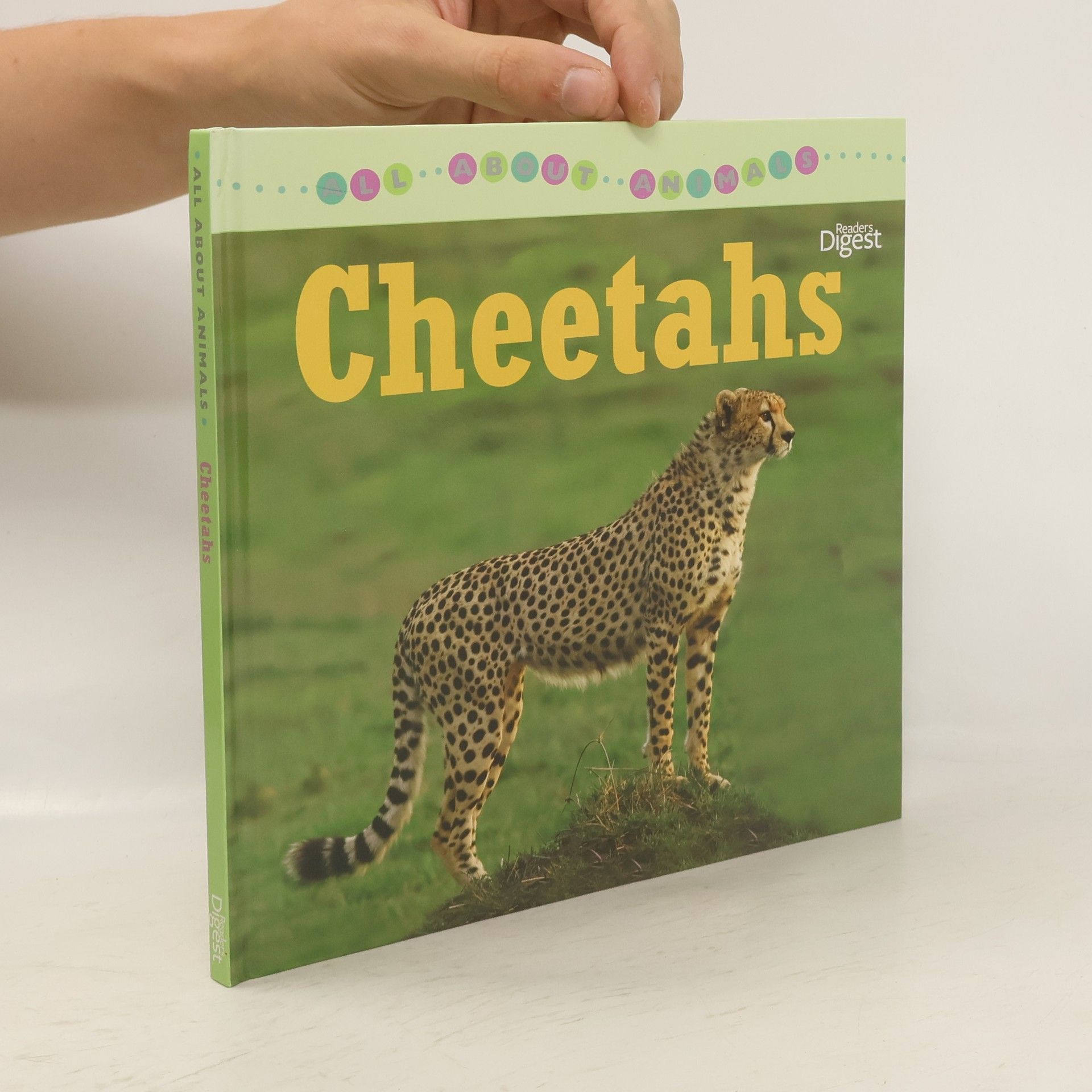 Sarah Albee Cheetahs