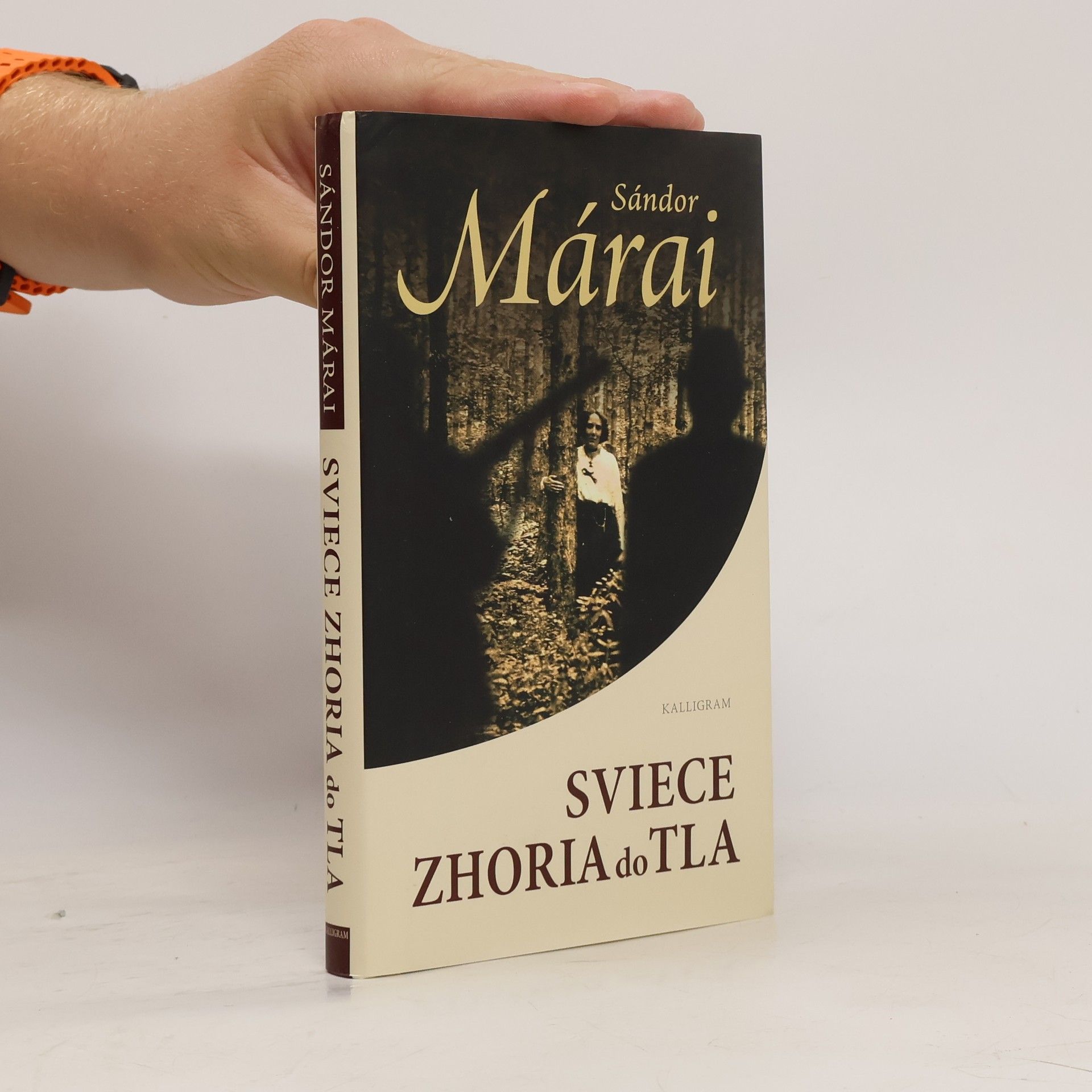 Sándor Márai Sviece zhoria do tla