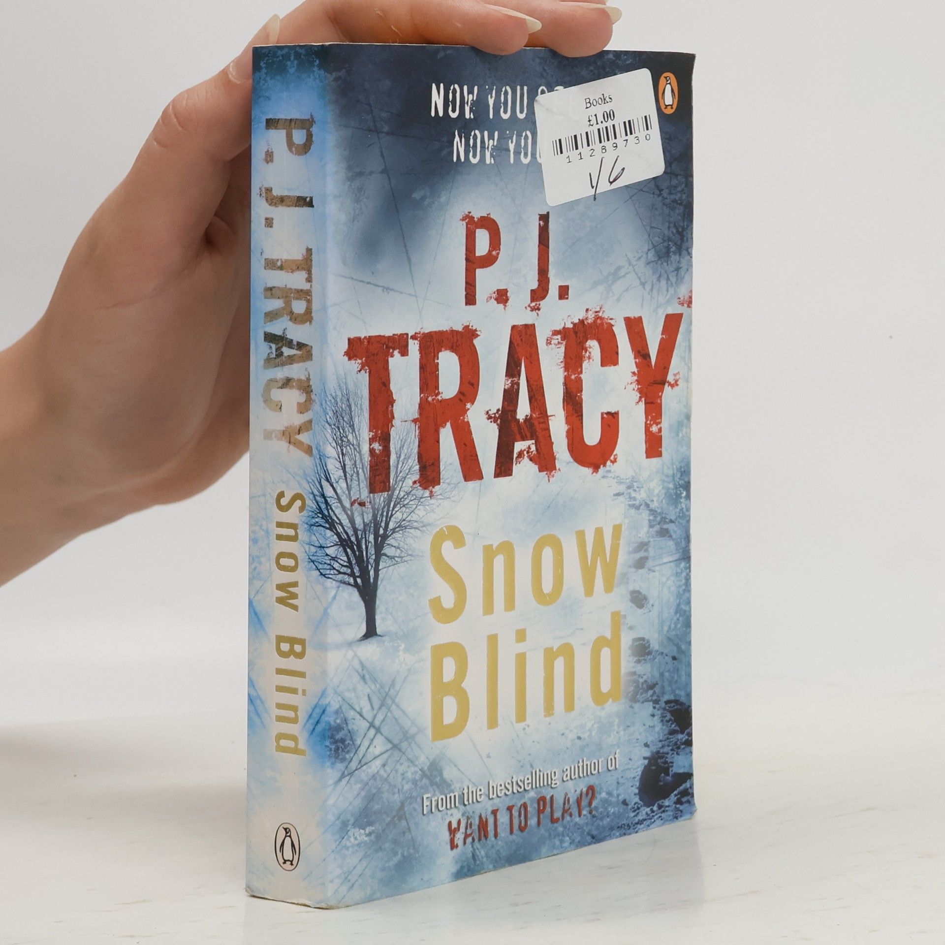 P. J. Tracy Snow Blind