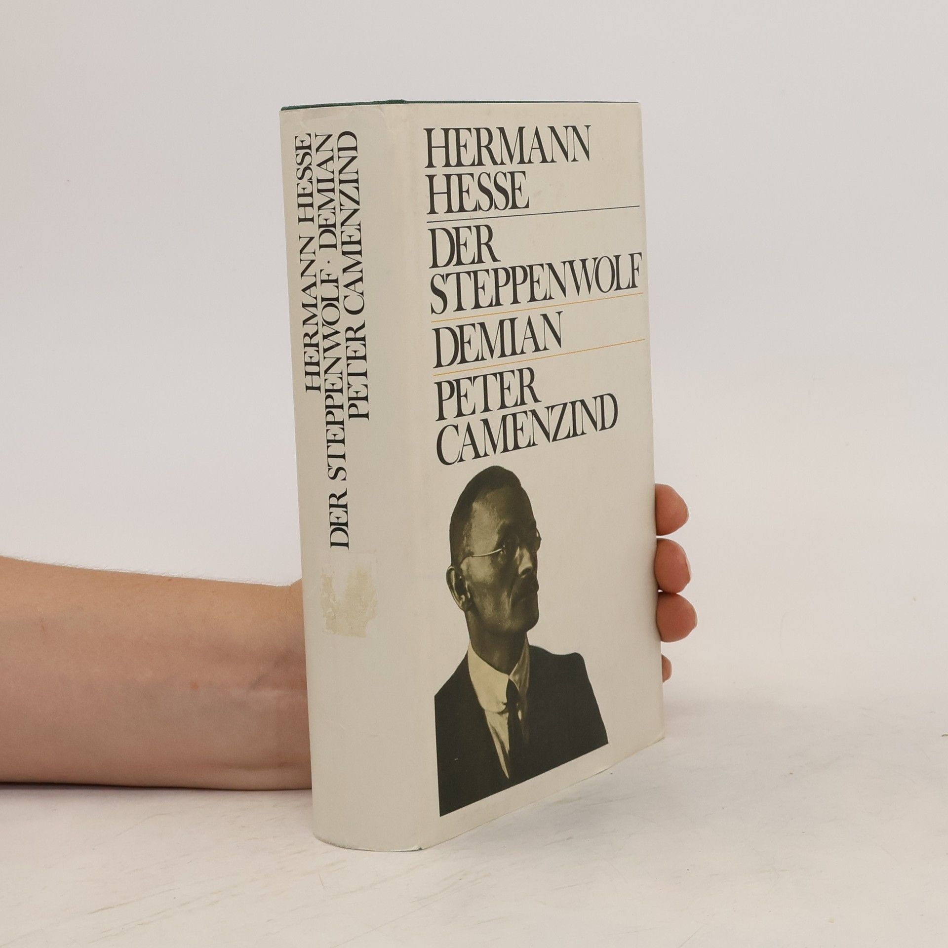 Hermann Hesse Der Steppenwolf. Demian. Peter Camenzind