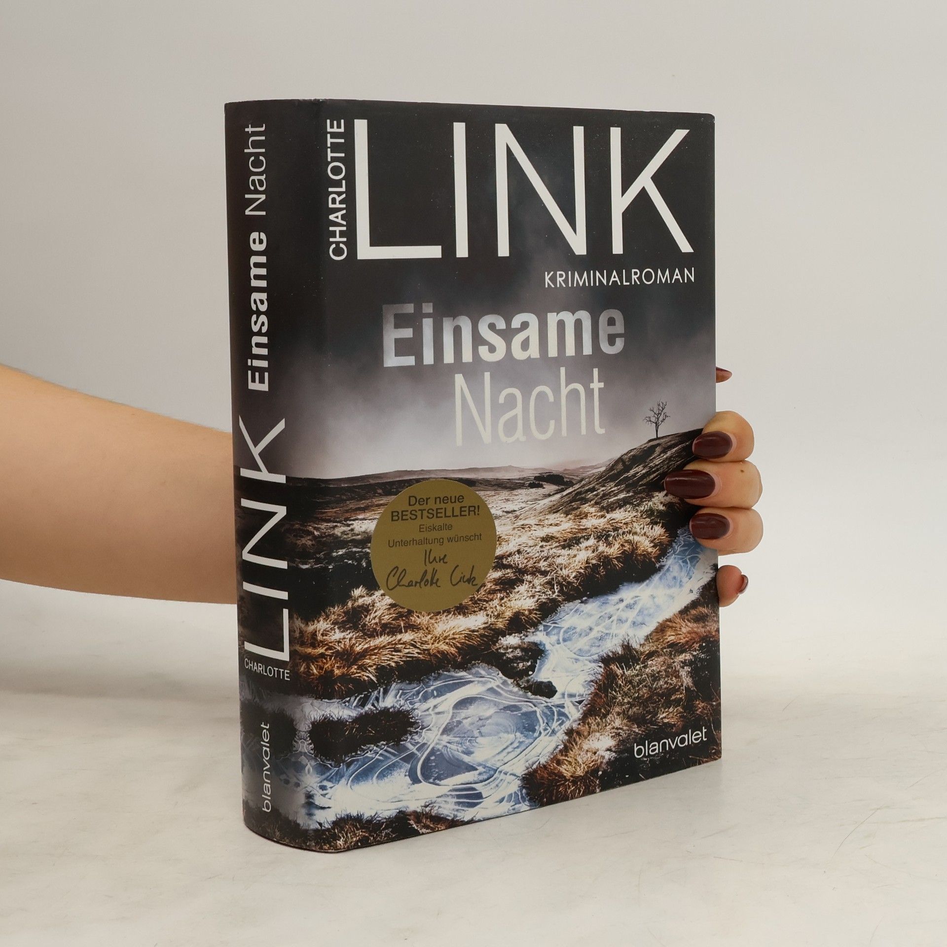 Charlotte Link Einsame Nacht