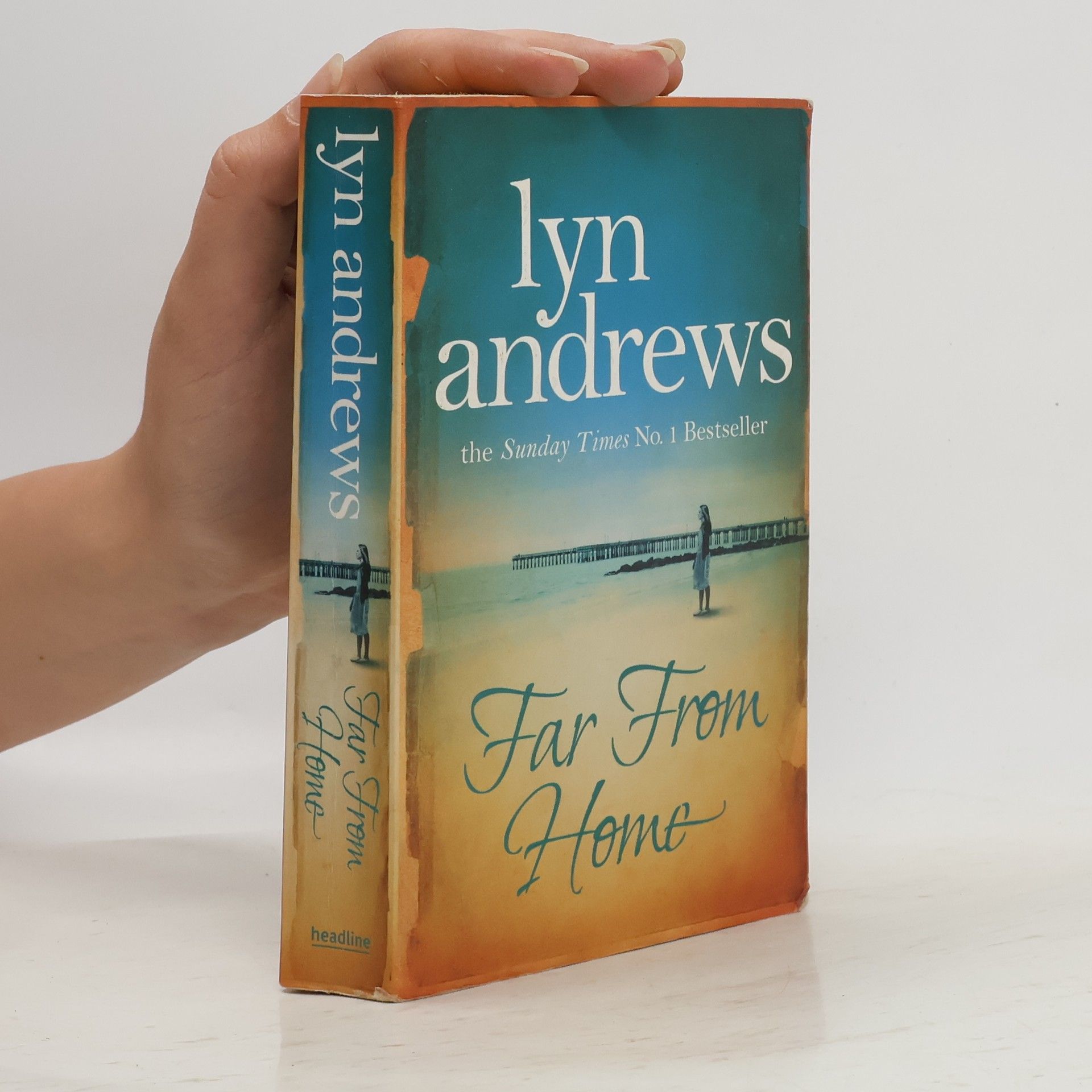 Lyn Andrews Far from Home