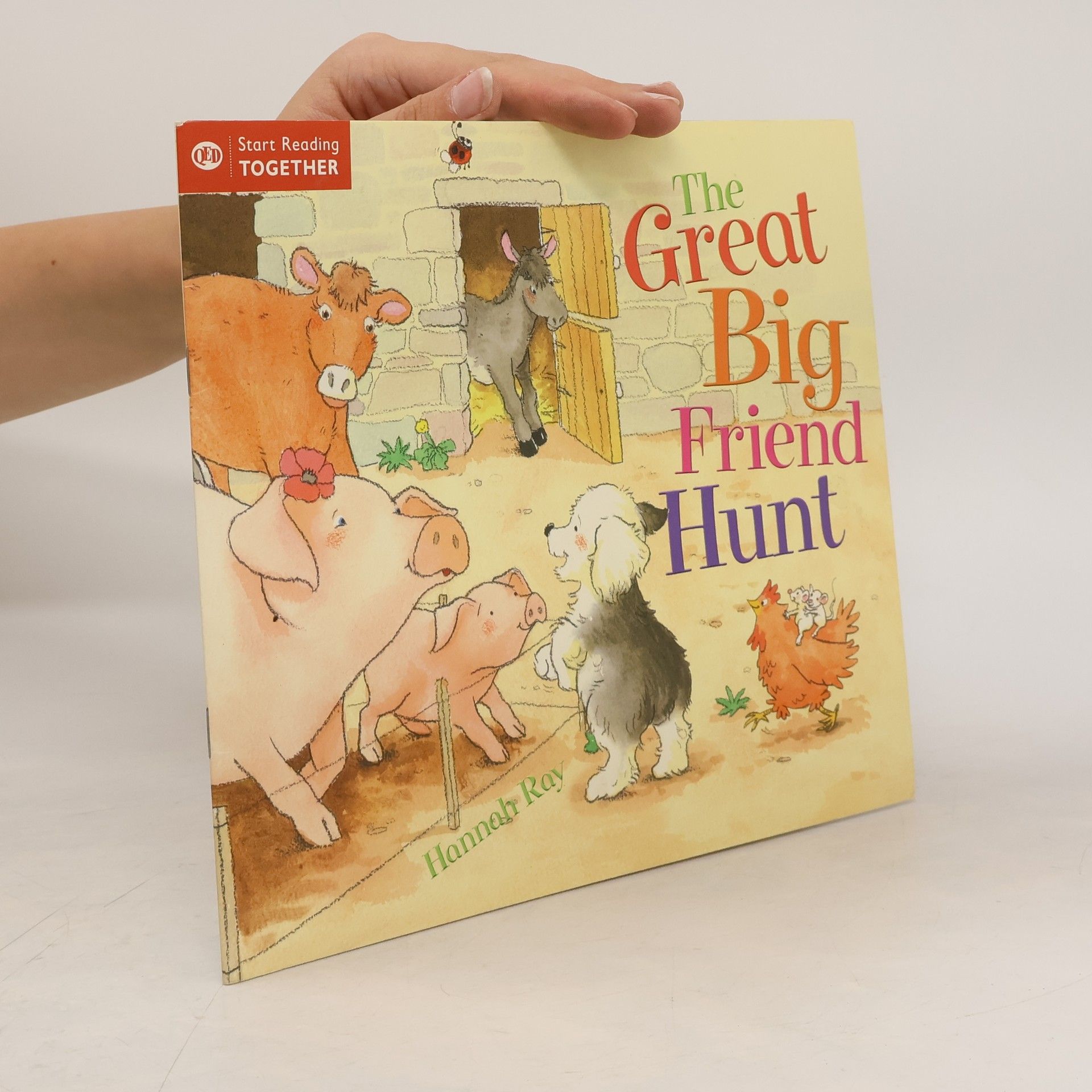Hannah Ray The Great Big Friend Hunt