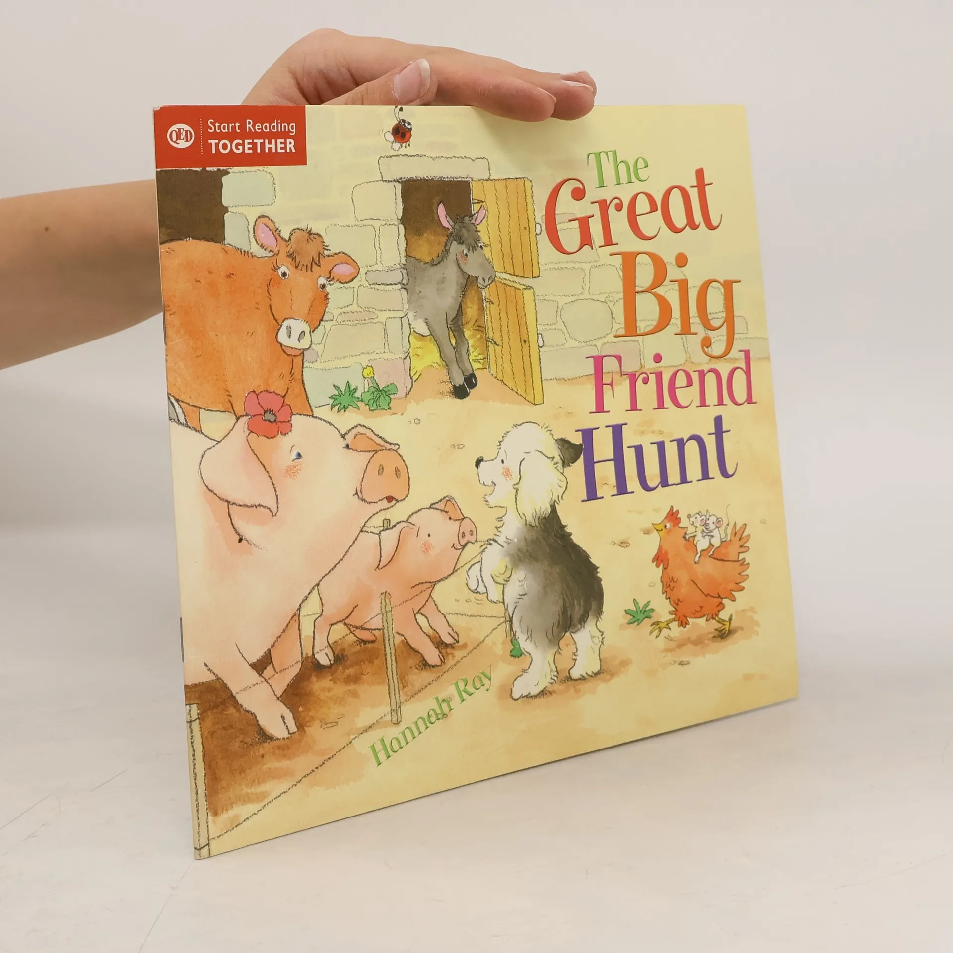 The Great Big Friend Hunt | Hannah Ray | English | Book