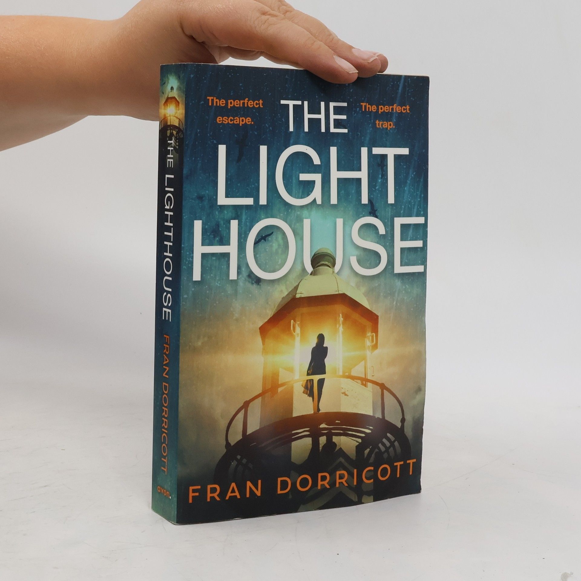Fran Dorricott The Lighthouse